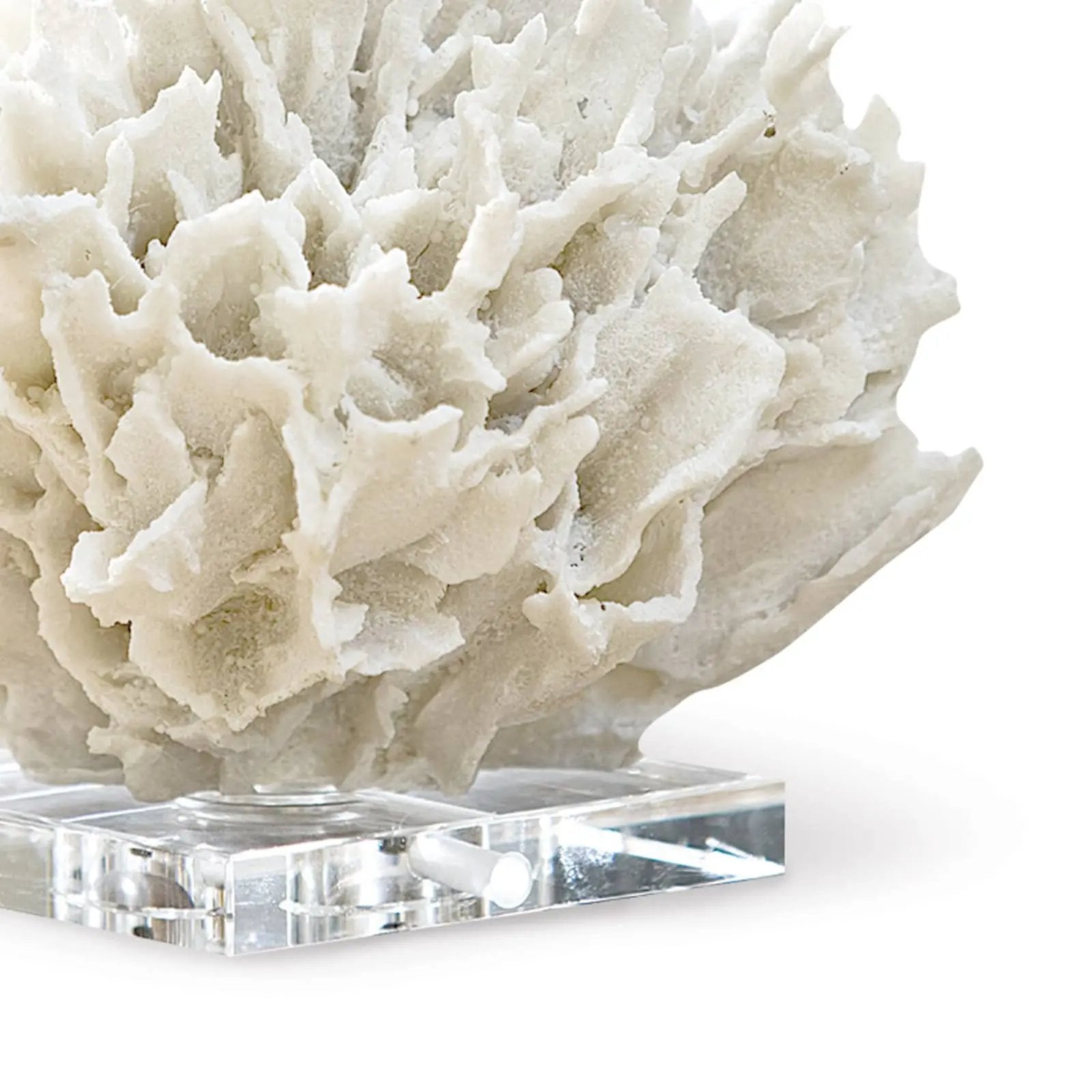 Ribbon Coral – White Resin on Crystal Base Regina Andrew