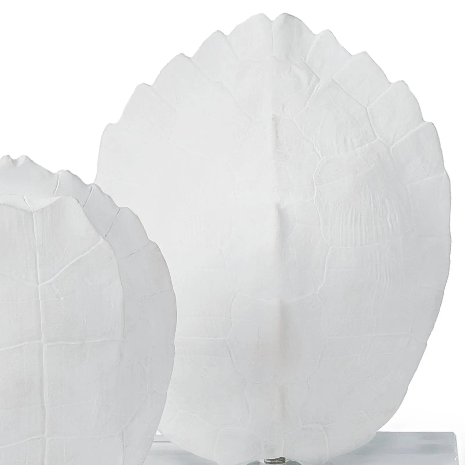 Turtle Shells on Crystal (Set of 2) – White Resin Decorative Accents - Villa Decor & Design