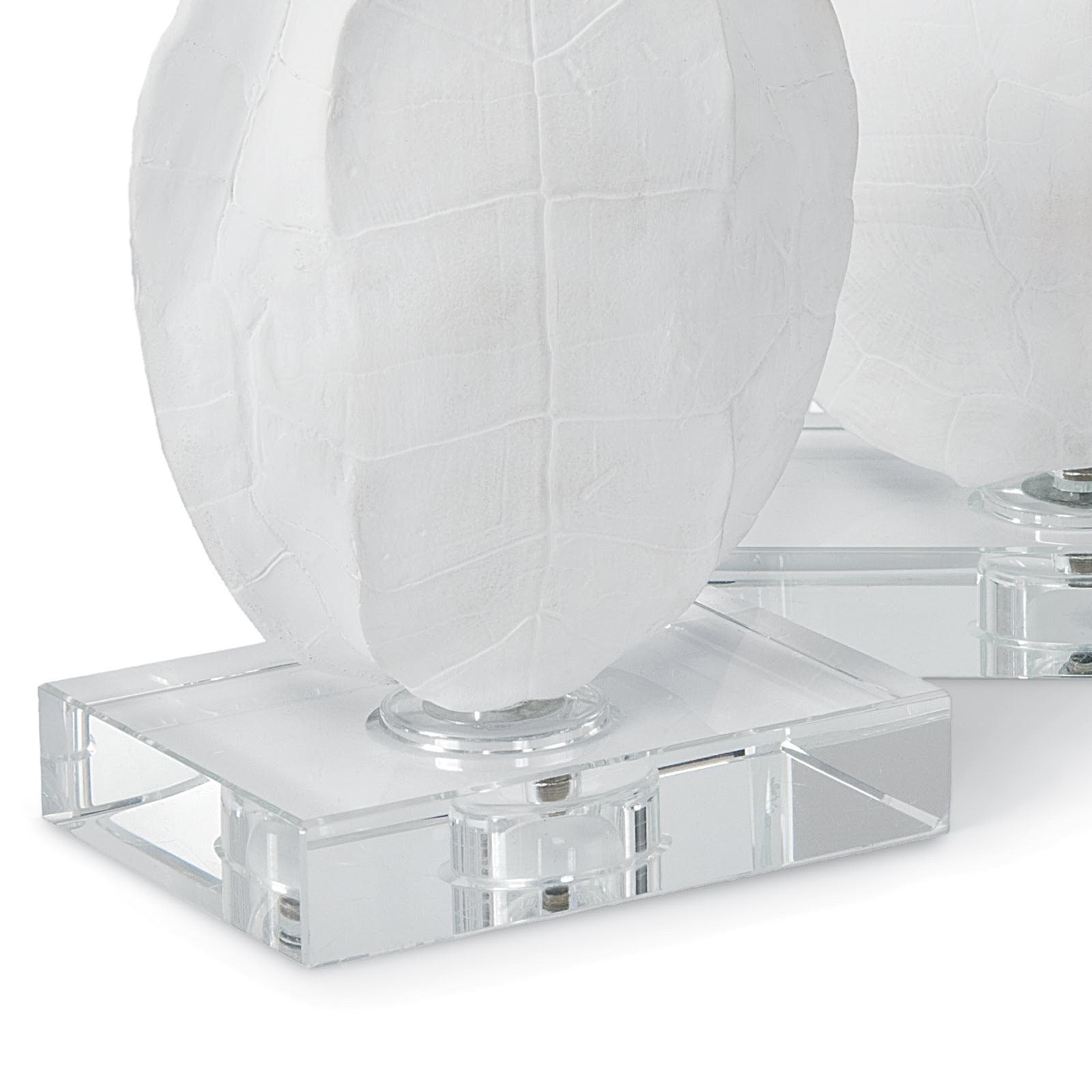 Turtle Shells On Crystal (Set of 2)