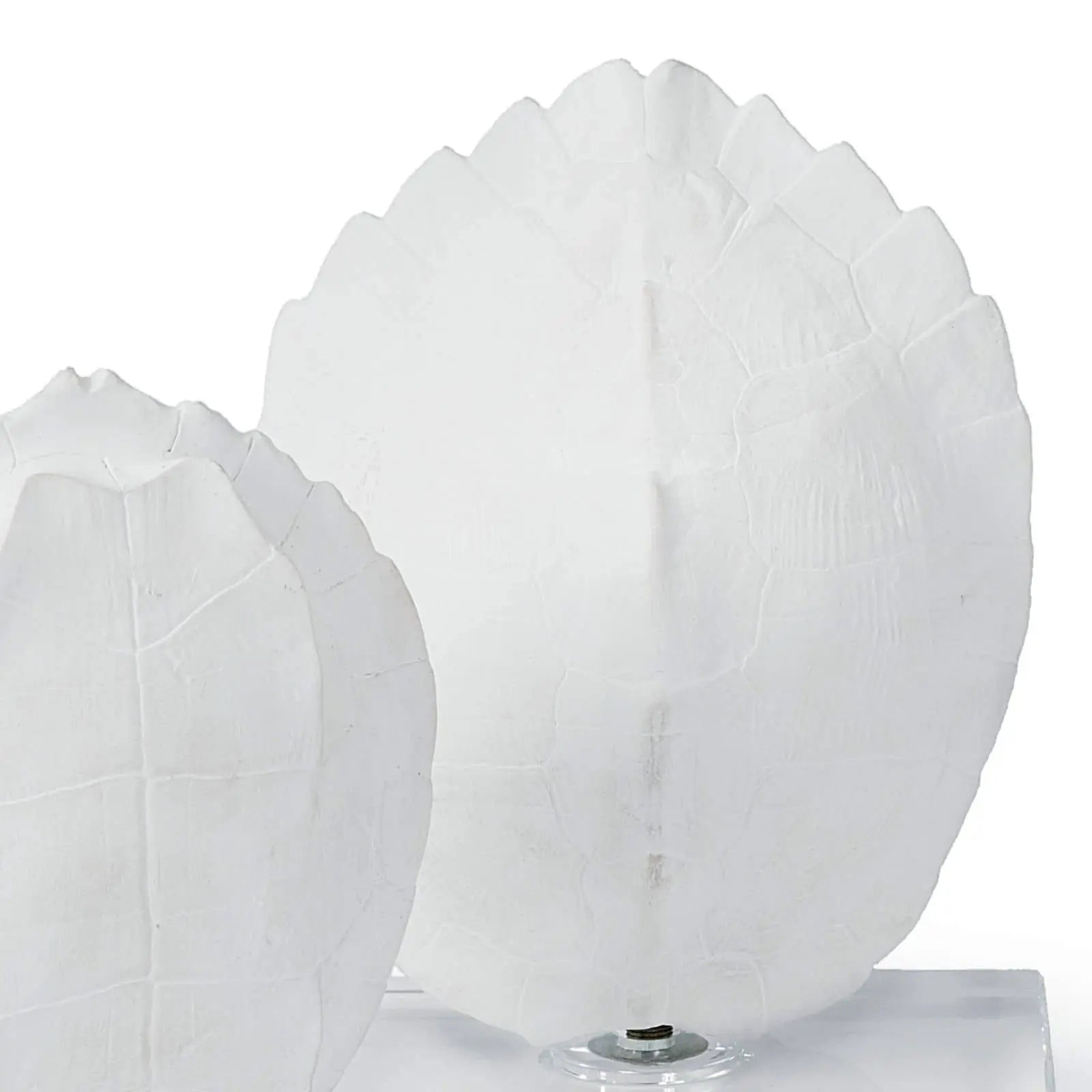 Turtle Shells on Crystal (Set of 2) – White Resin Decorative Accents - Villa Decor & Design
