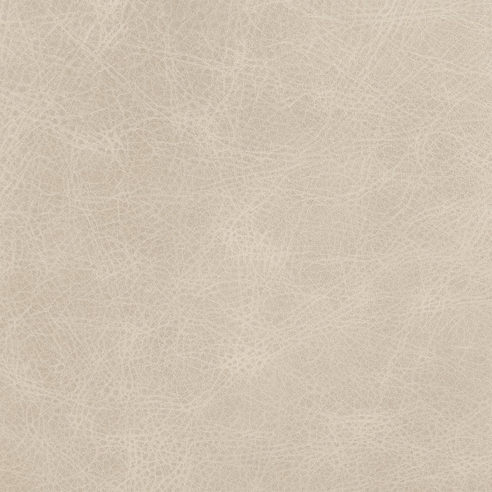 Beige leather texture swatch