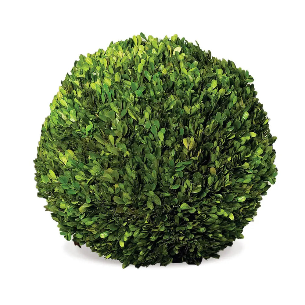 Boxwood Ball - 16"
