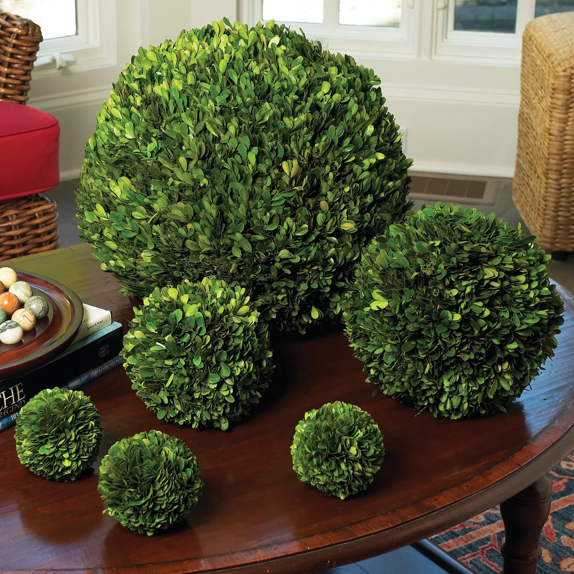 Boxwood Ball - 16"