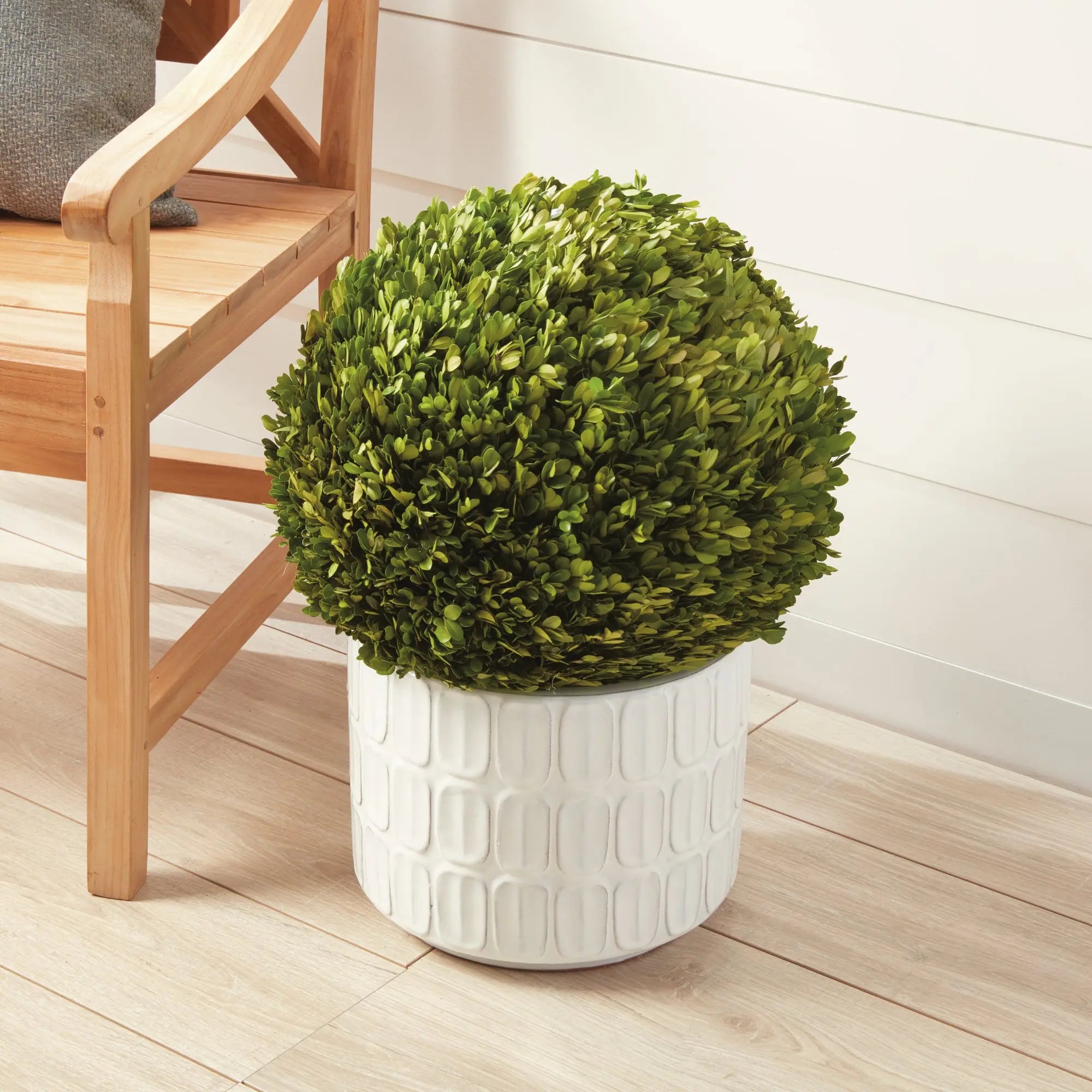 Boxwood Ball - 16"
