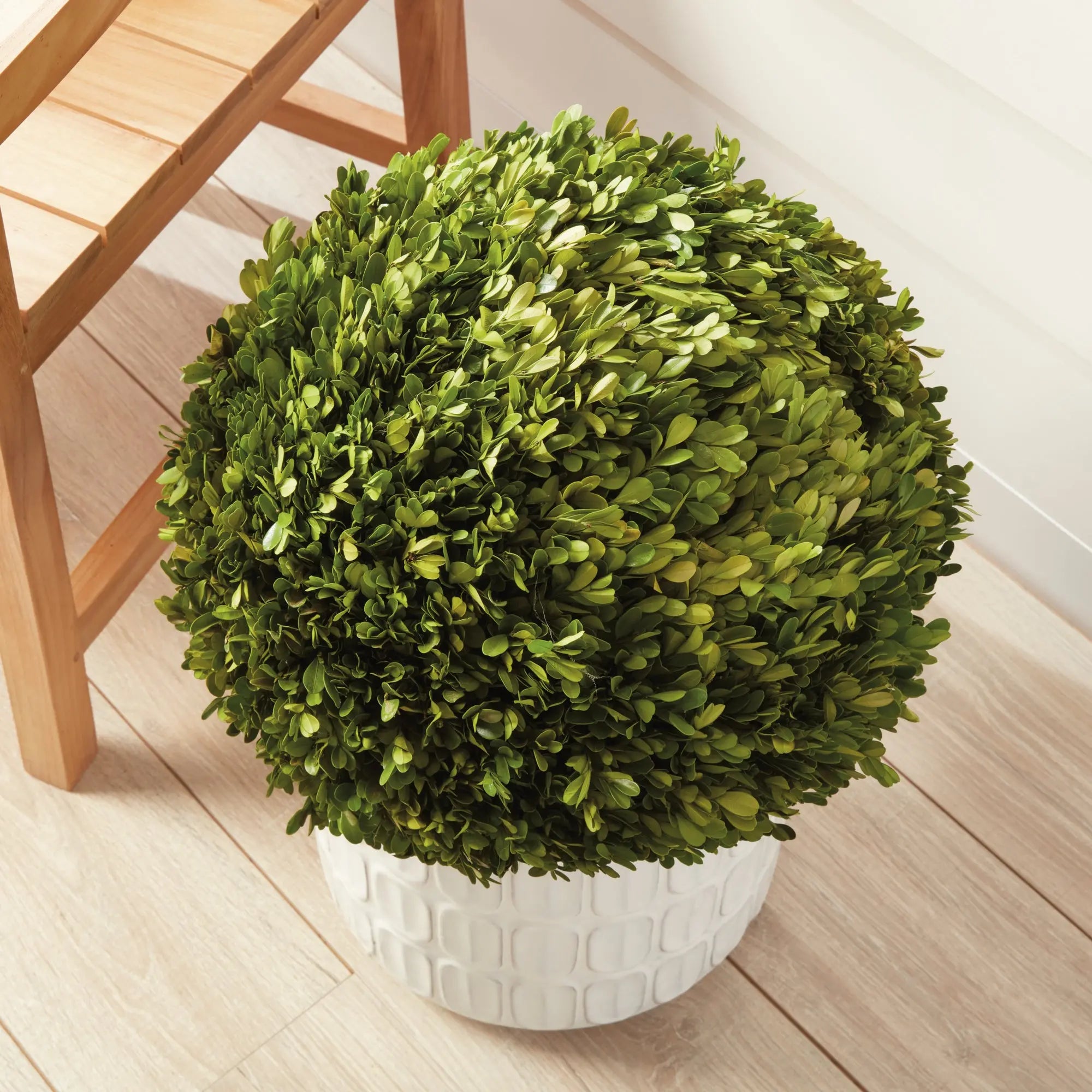 Boxwood Ball - 16"