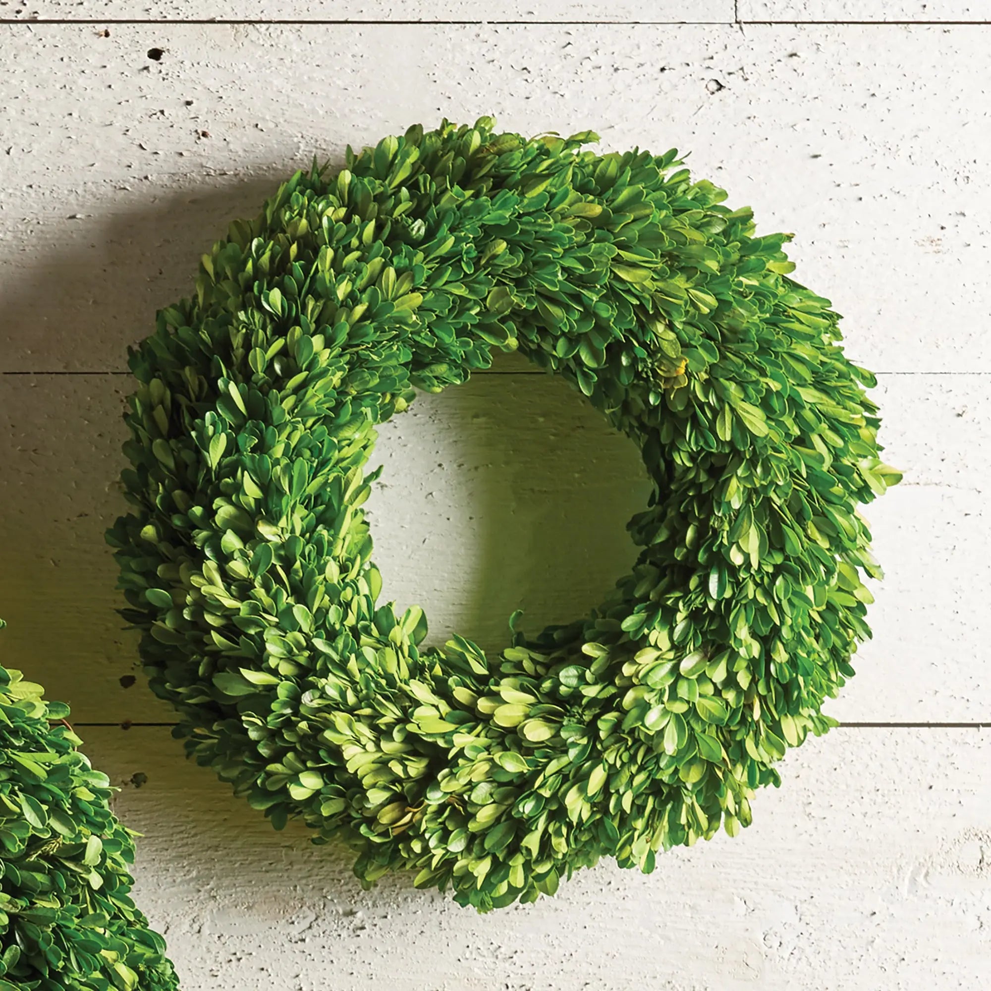 Boxwood Wreath - 16"