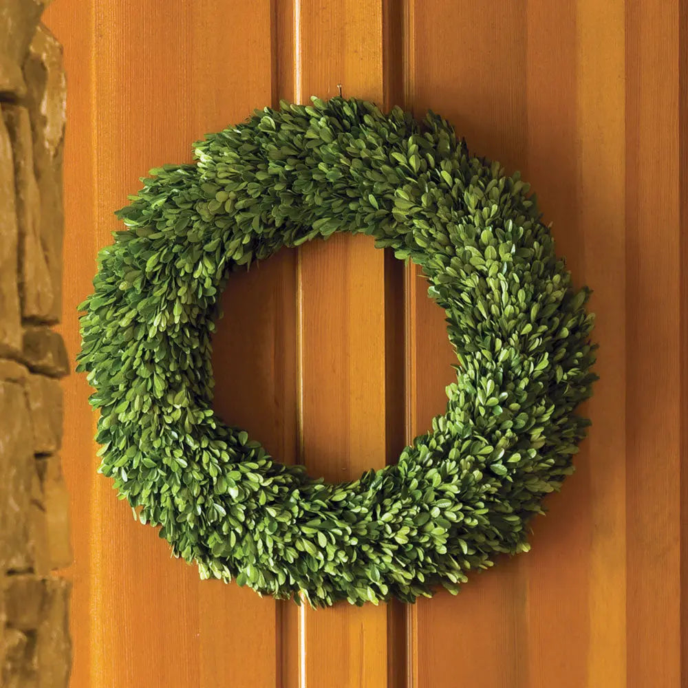 24-inch preserved boxwood wreath with lush green foliage