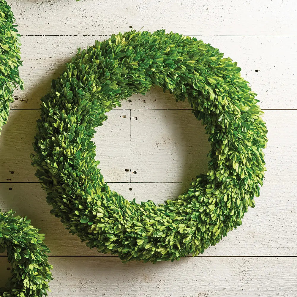 24-inch preserved boxwood wreath with lush green foliage