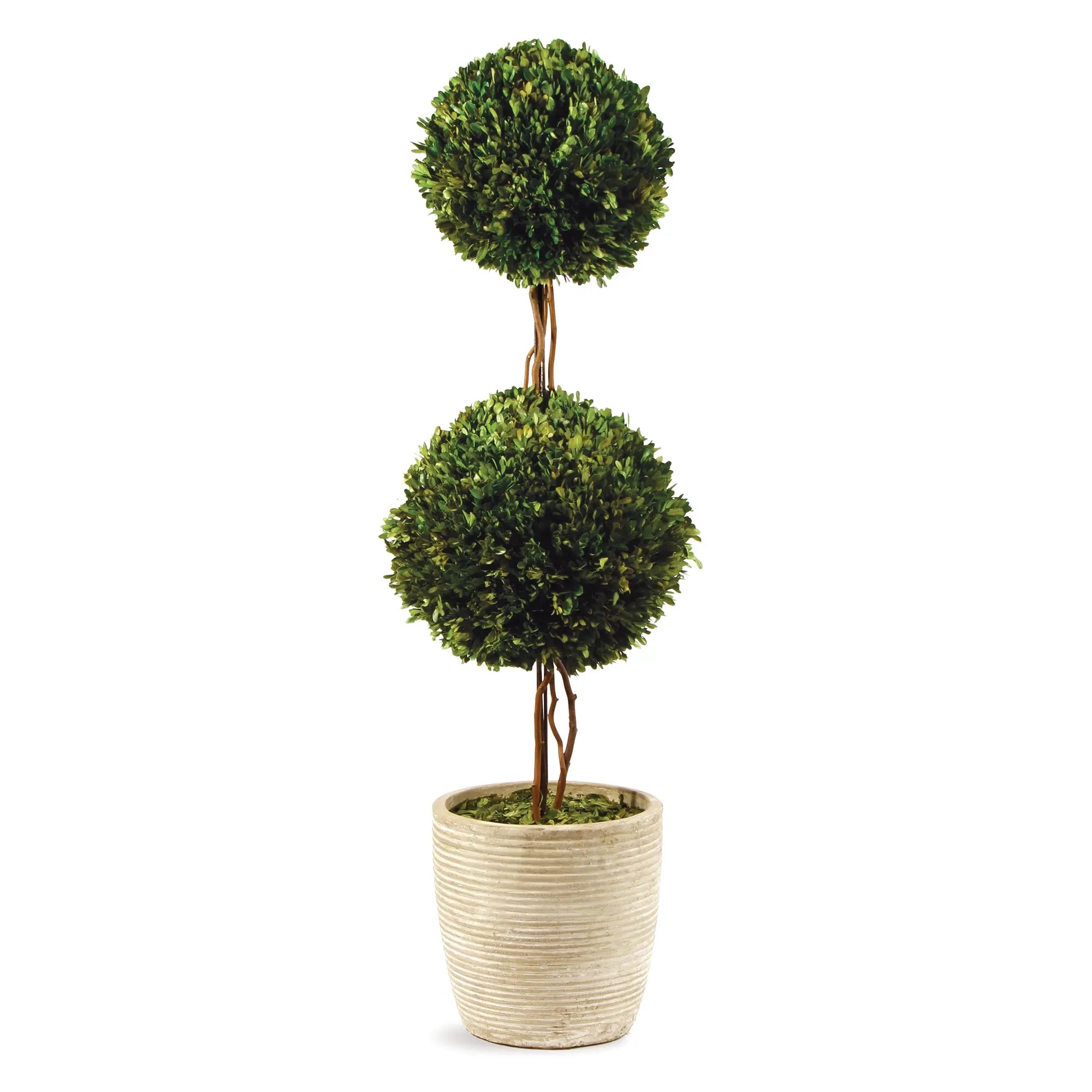 Boxwood Double Sphere Topiary - 28"