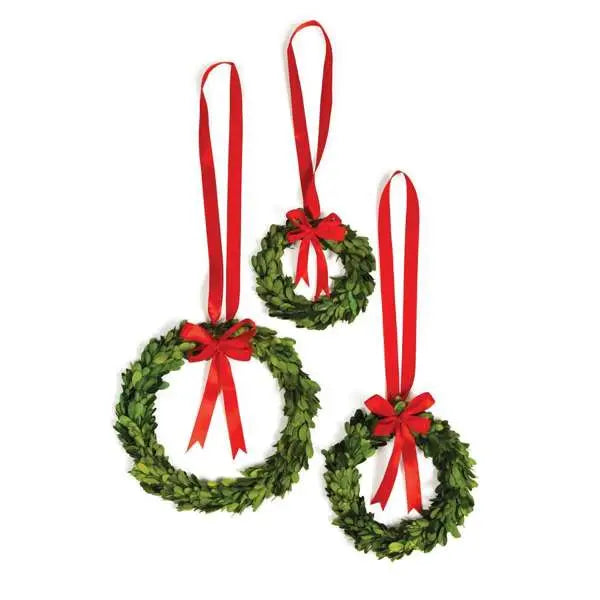 Boxwood Wreaths with Red Ribbons - Set of 3 Preserved Greenery Napa Home & Garden