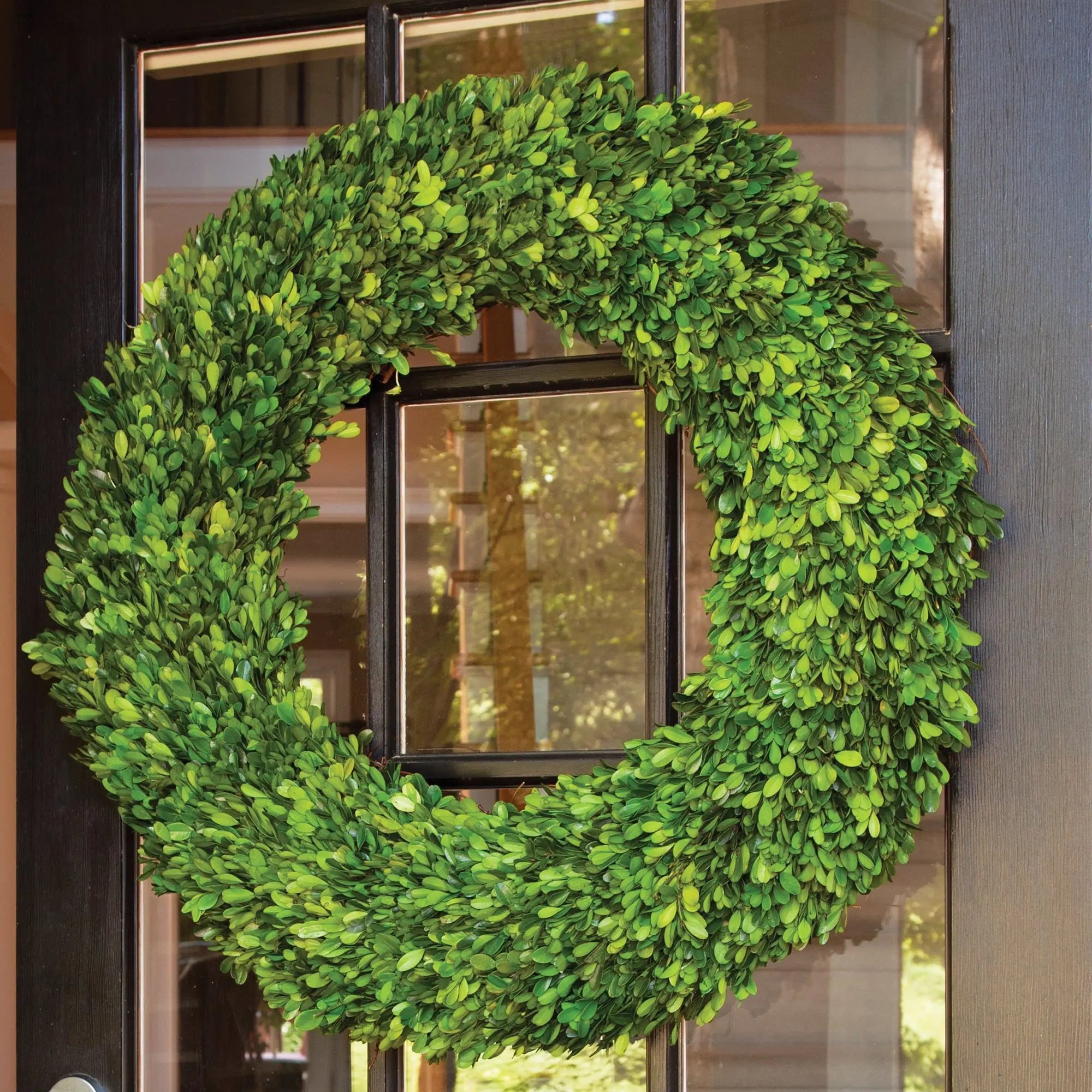 Boxwood Wreath - 30"