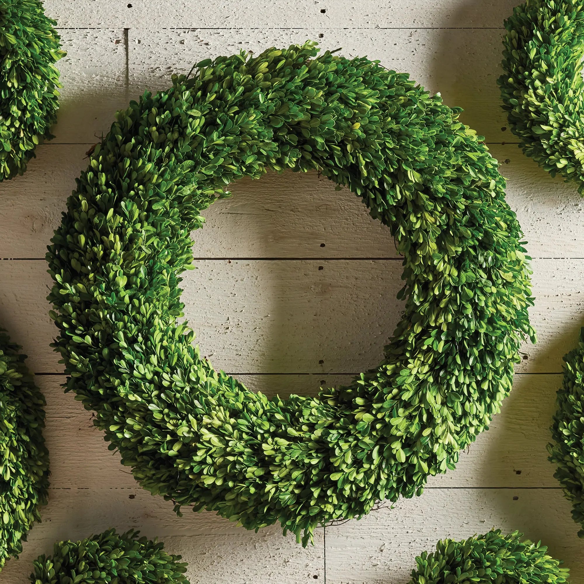 Boxwood Wreath - 30"