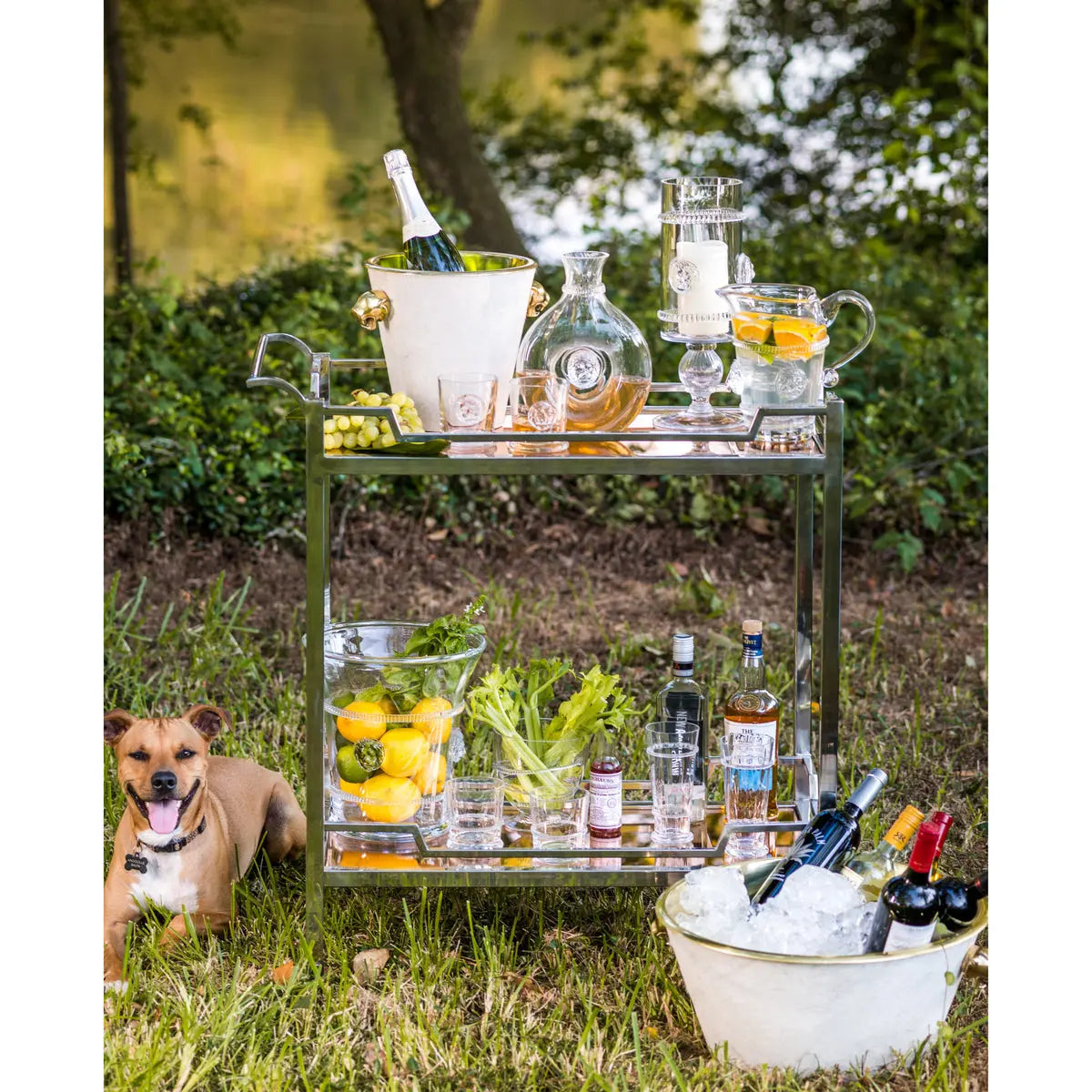 Havana Wine Cooler - Cowhide & Brass with Jaguar Handles Abigails