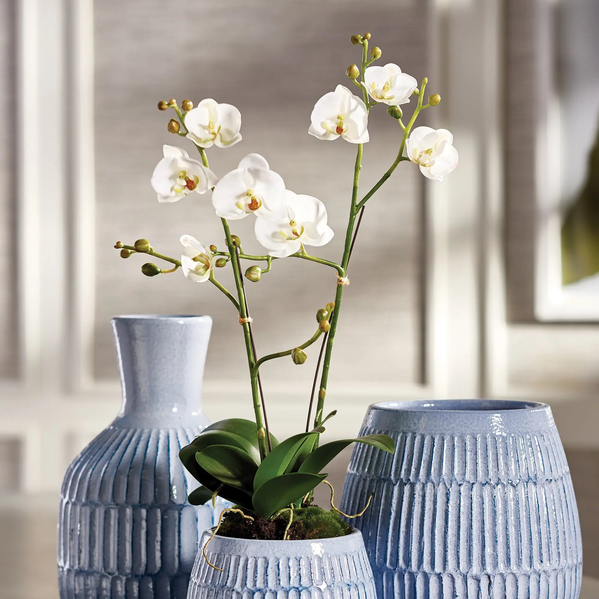 Phalaenopsis x2 DROP-IN 23"