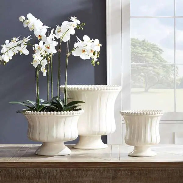 Phalaenopsis Orchid Bowl Drop-In 31.5"