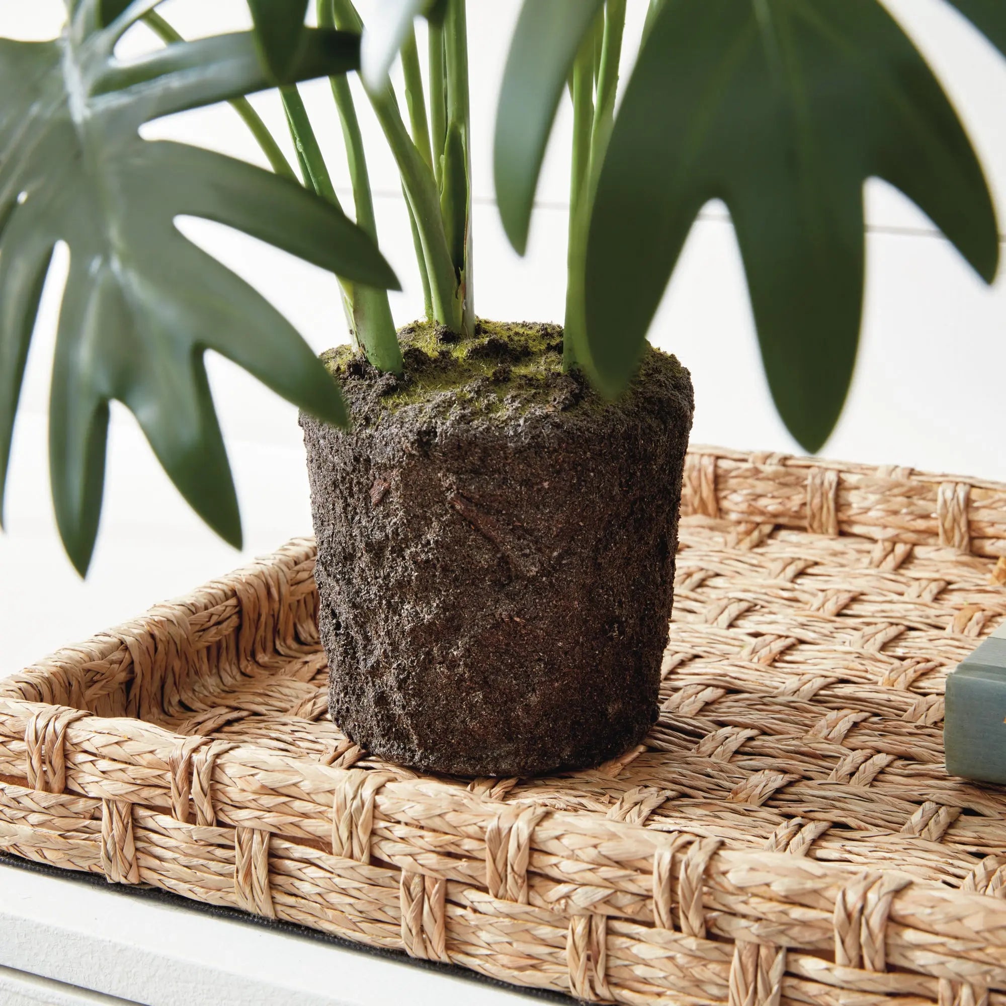 SPLIT LEAF SELLOUM DROP-IN 22.5" Villa Decor & Design