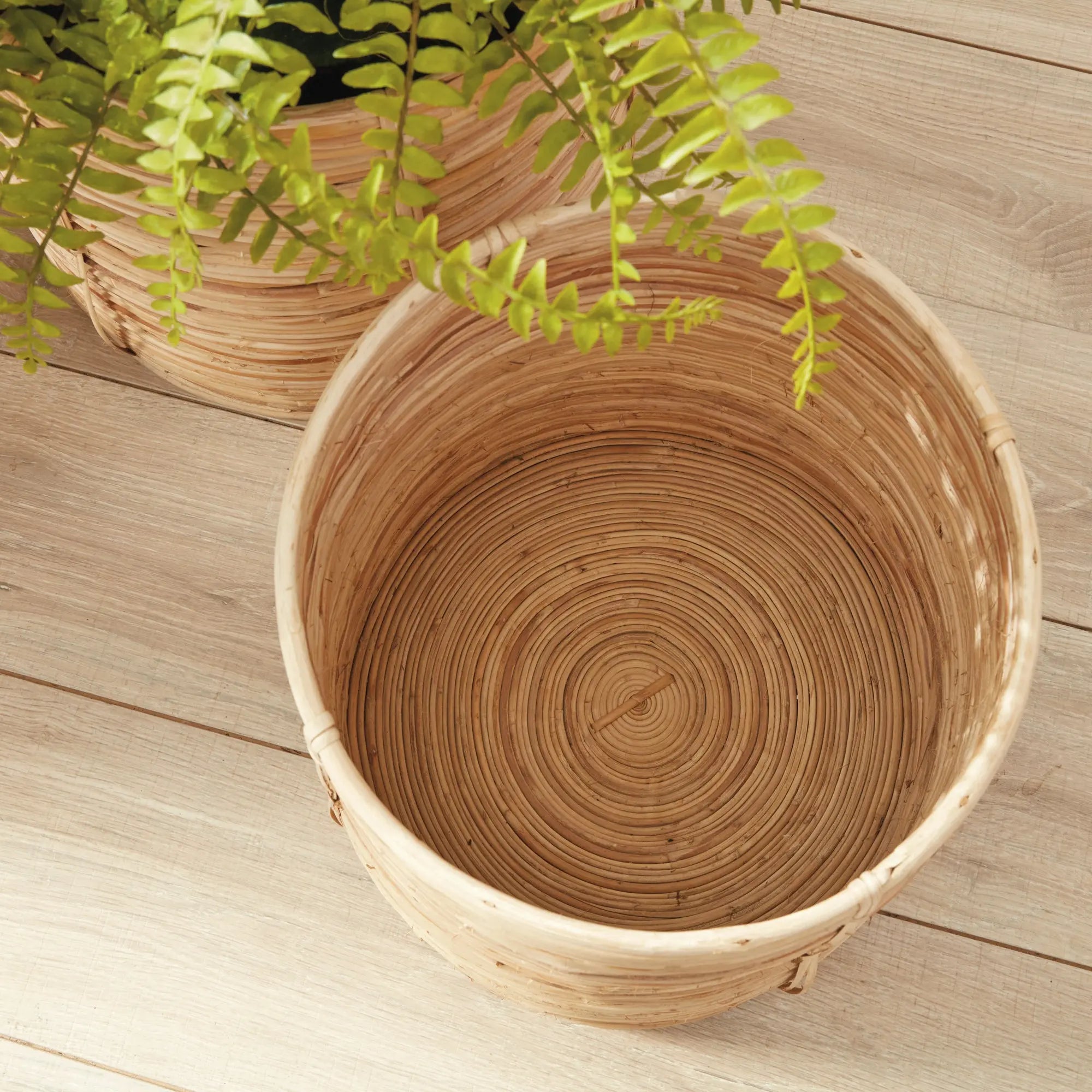 Woven plant pot on a wooden surface with a plant partially visible.