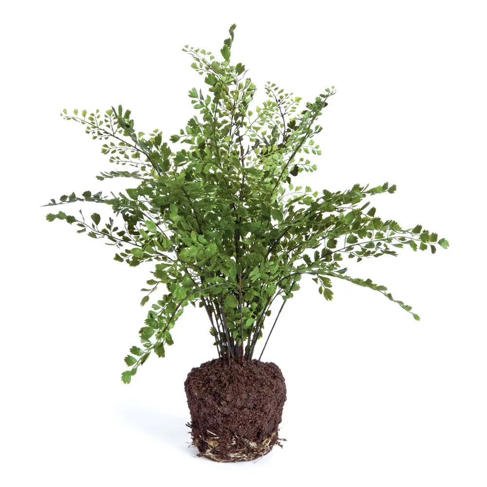 Realistic 18-inch Maidenhair Fern drop-in faux plant with natural green leaves and root ball