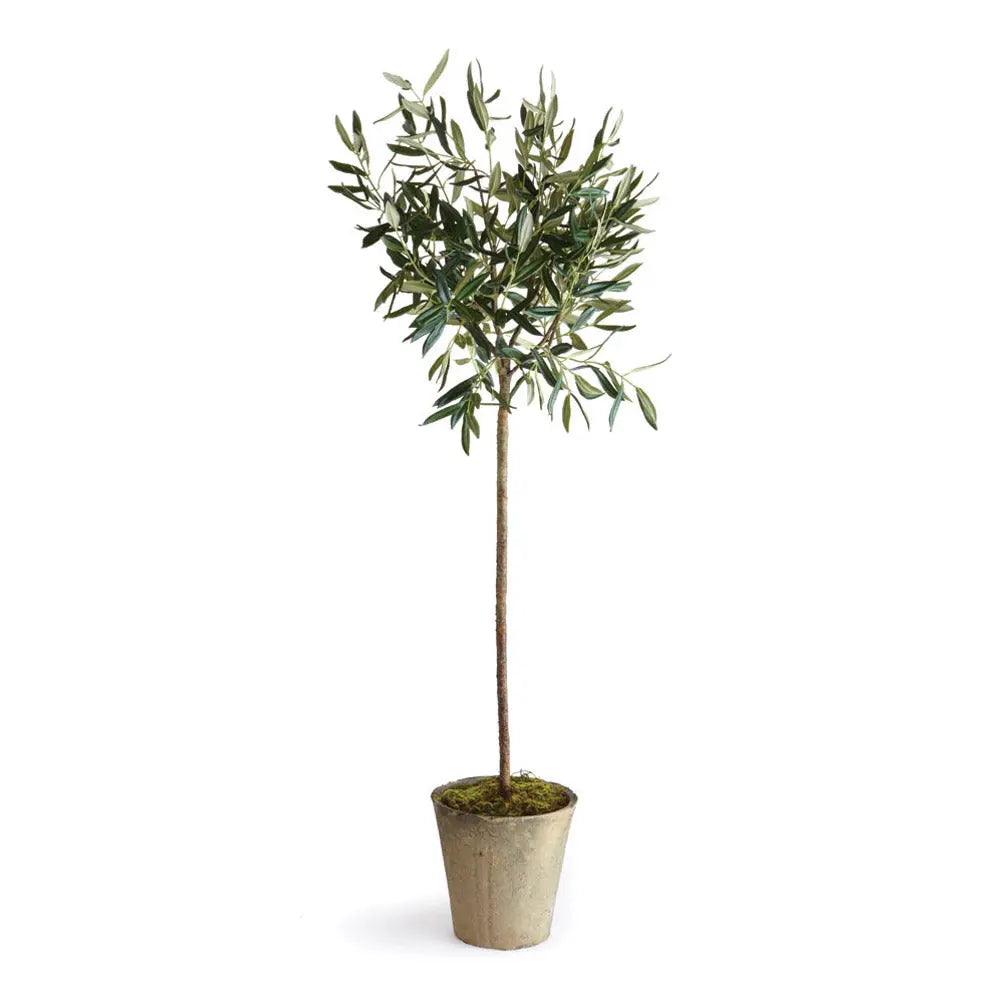OLIVE TREE POTTED 46" Villa Decor & Design