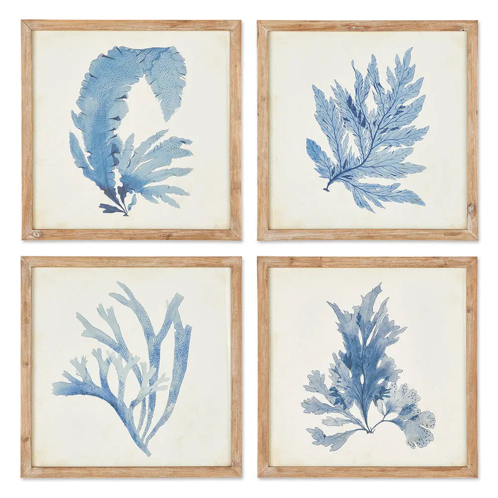 Set of four framed coral watercolor prints in whitewashed wood frames, coastal wall art