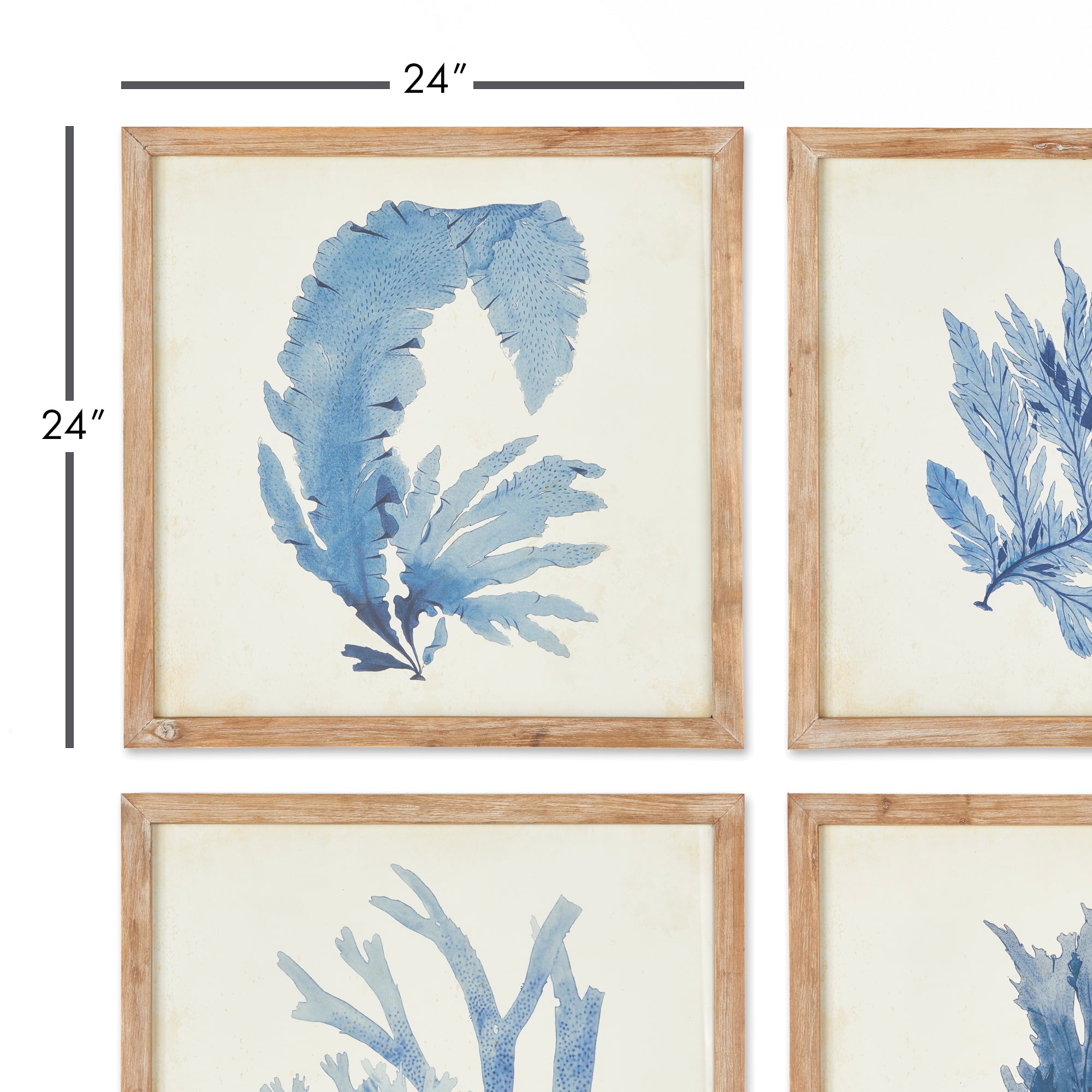 Set of four framed coral watercolor prints in whitewashed wood frames, coastal wall art