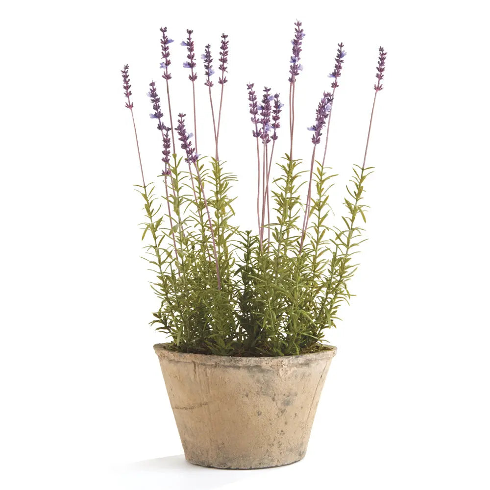 21-inch realistic French lavender drop-in plant with pot for indoor decor