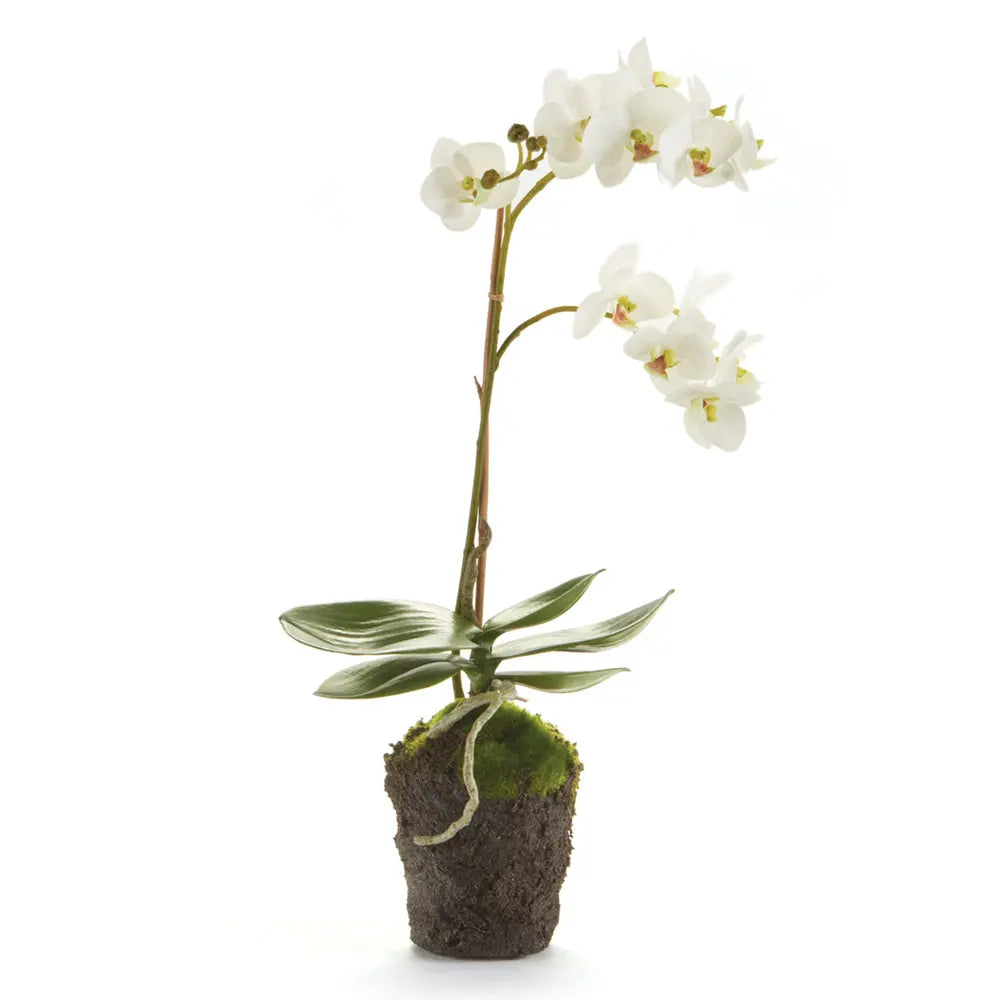 Phalaenopsis Orchid DROP-IN 17", faux orchid, artificial plants