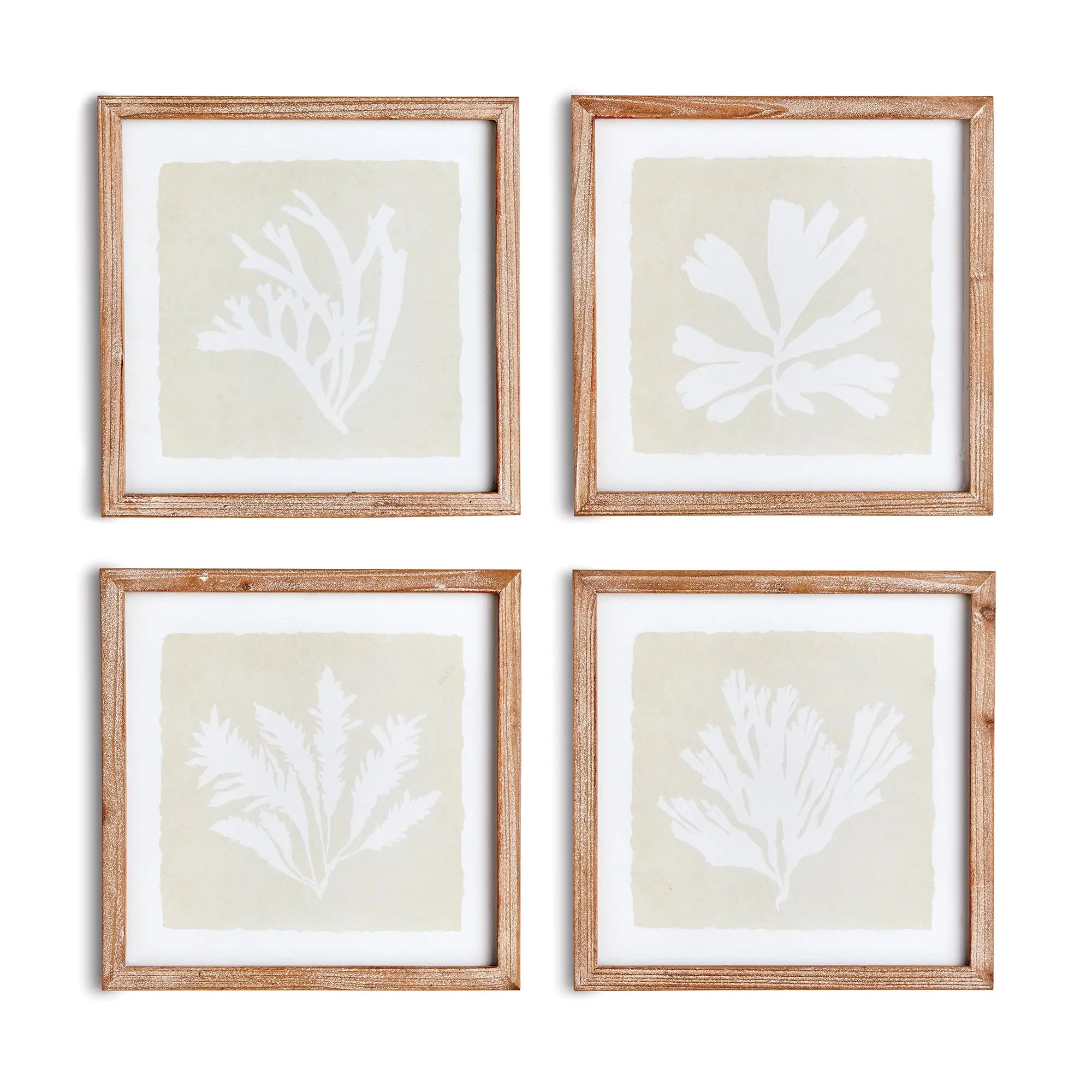 Seaweed Petite Prints, SET OF 4
