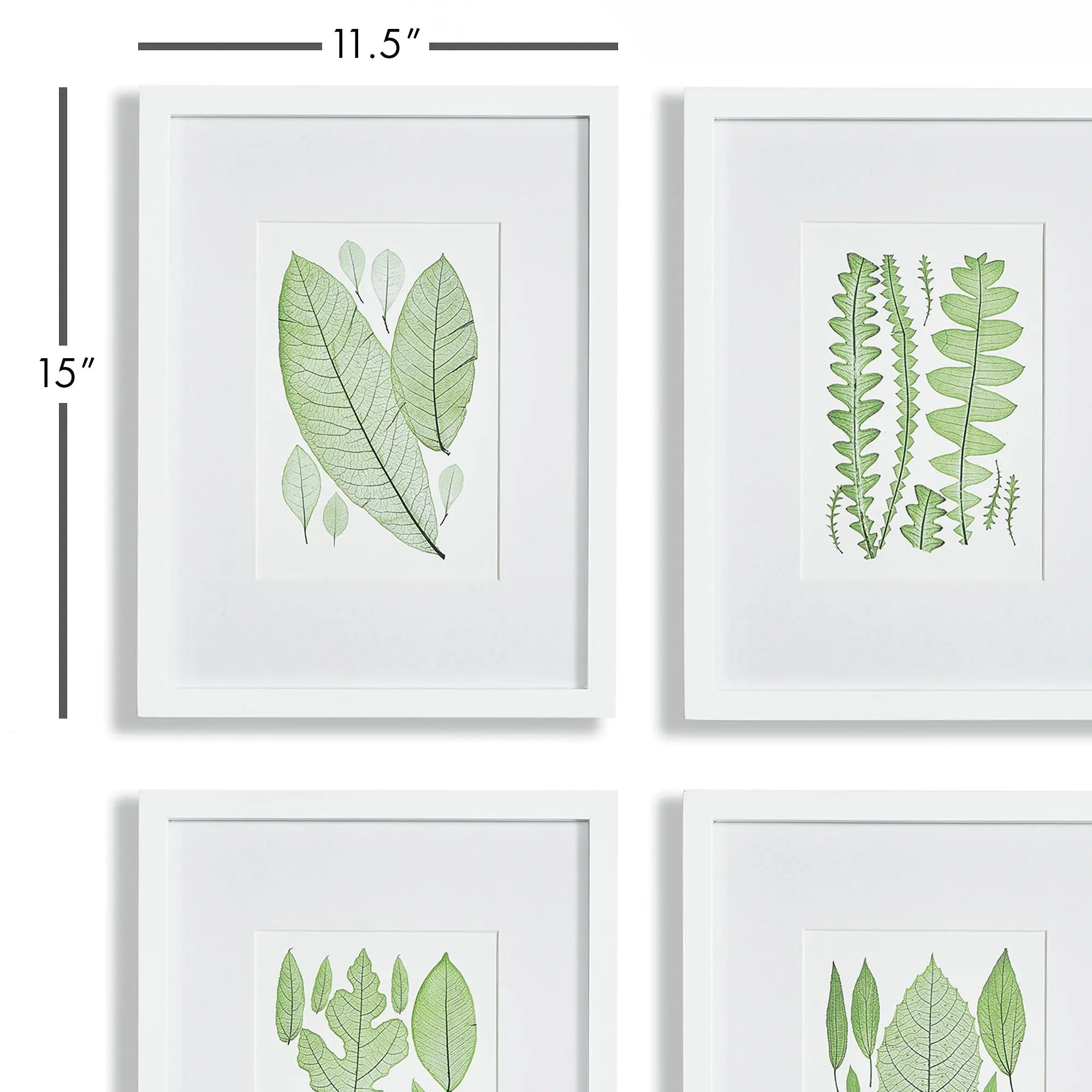 ASSORTED LEAF PRINTS, SET OF 4 Villa Decor & Design