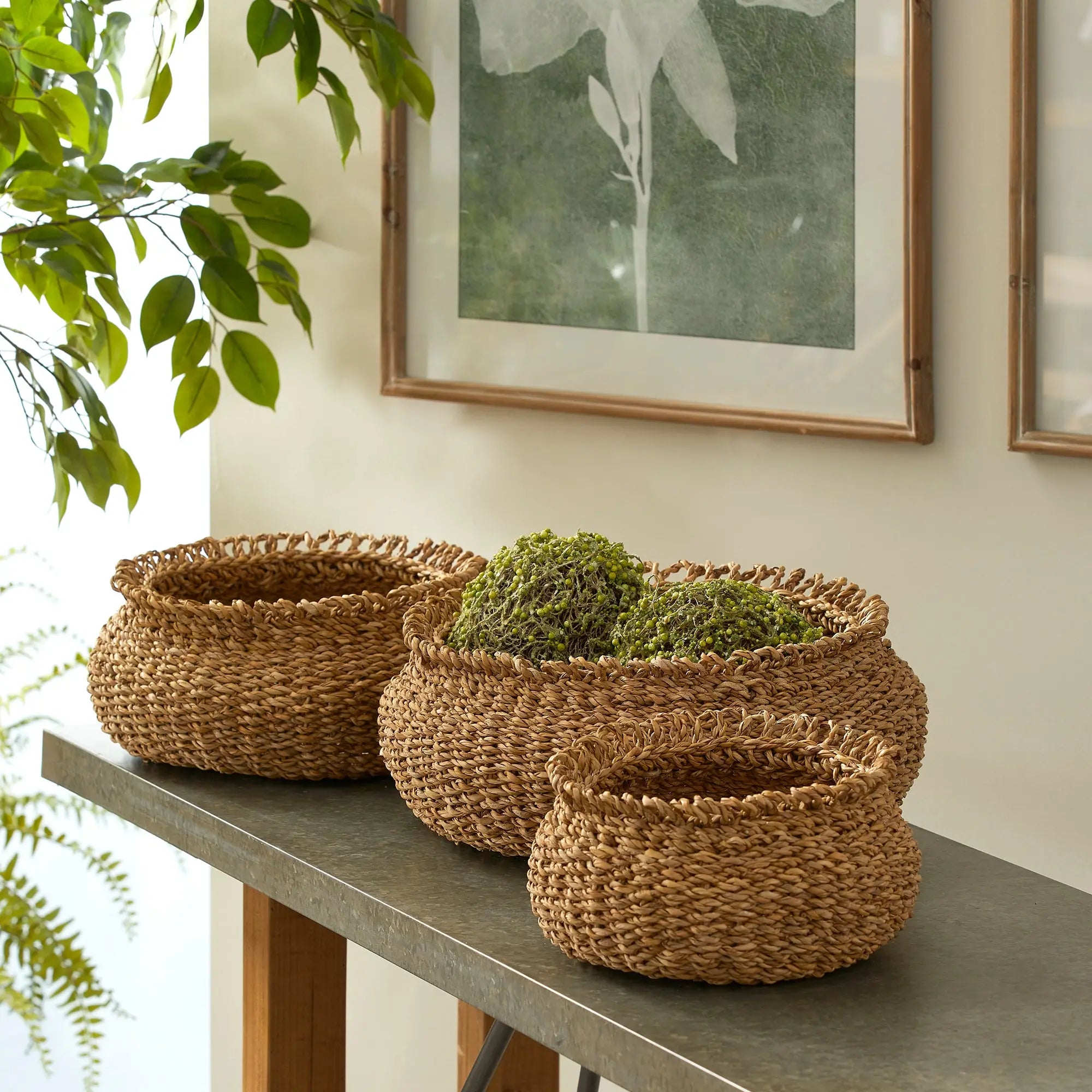 Three woven baskets with plants on a table against a wall with framed pictures