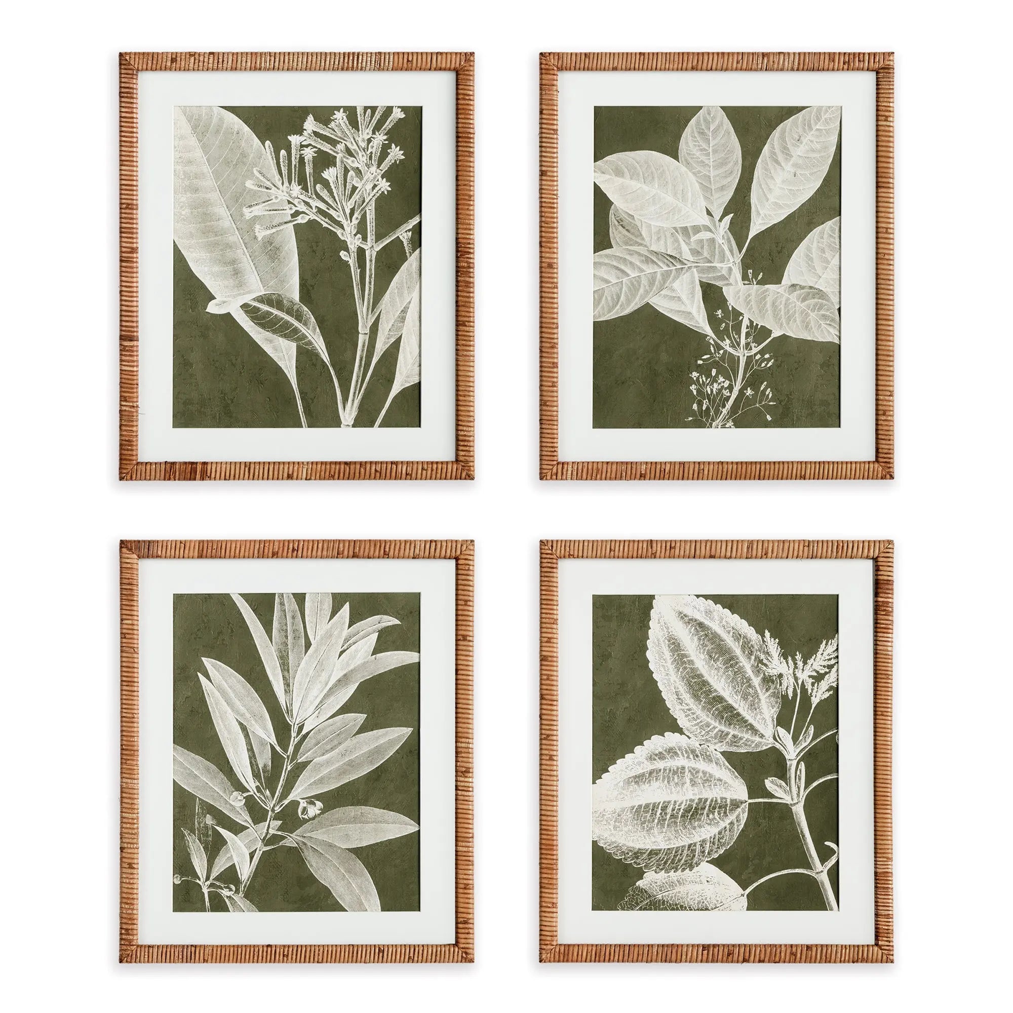 TRANSLUCENT STEM PRINTS, SET OF 4 Villa Decor & Design