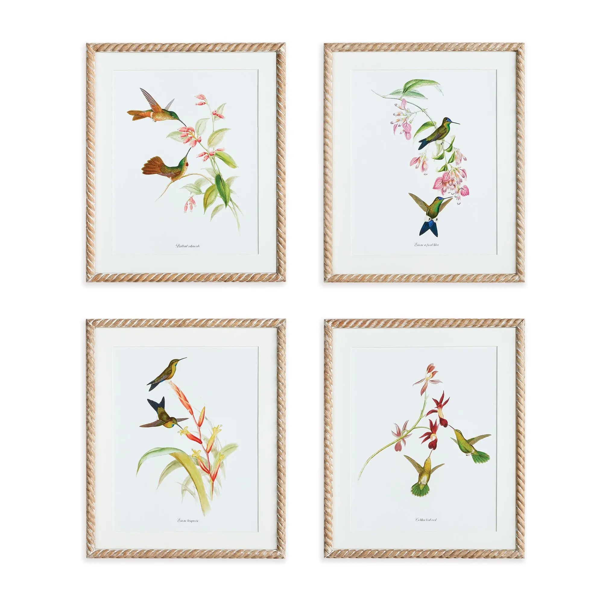 PLAYFUL HUMMINGBIRD PRINTS, SET OF 4 Villa Decor & Design