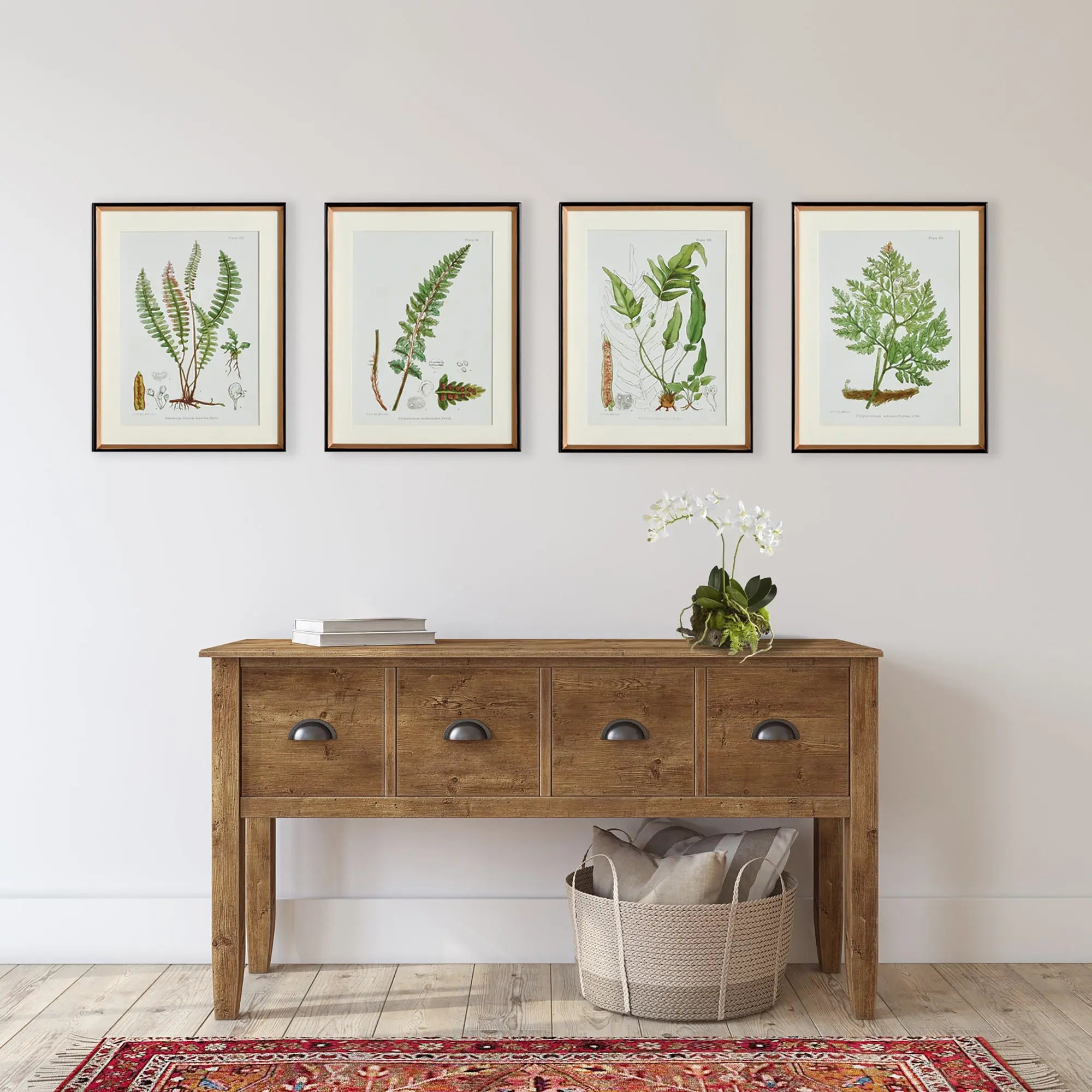 STRUCTURAL FERN STUDY, SET OF 4 Villa Decor & Design