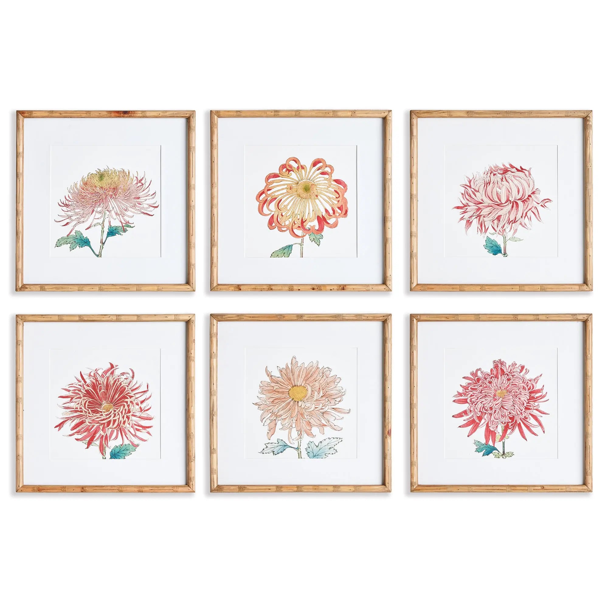 COLORFUL CHRYSANTHEMUM PRINTS, SET OF 6 Villa Decor & Design