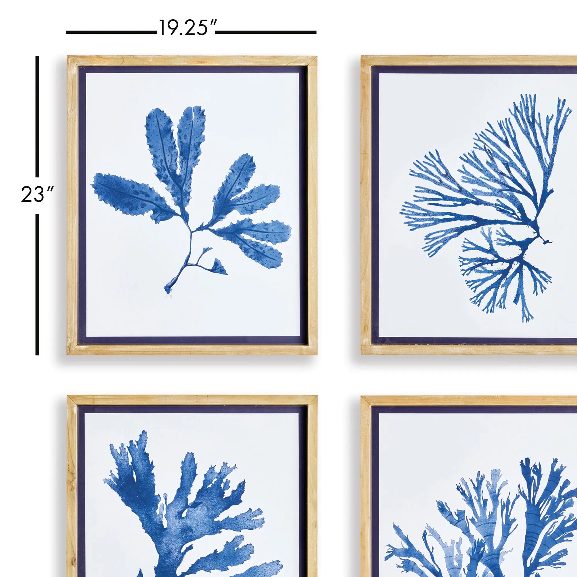 Indigo Seaweed Prints, SET OF 4