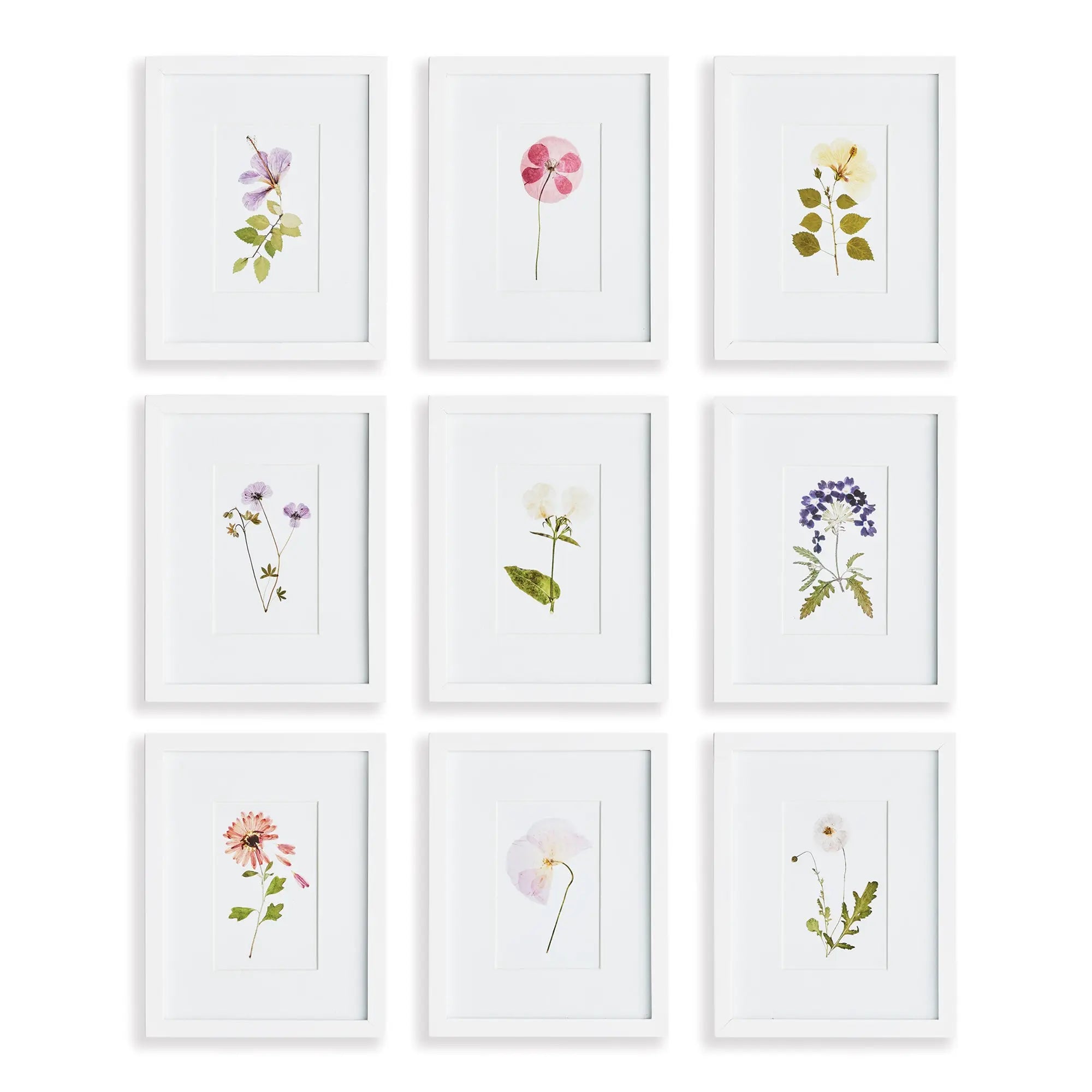 MOUNTAIN FLOWER PETITE PRINTS, SET OF 9 Napa Home & Garden