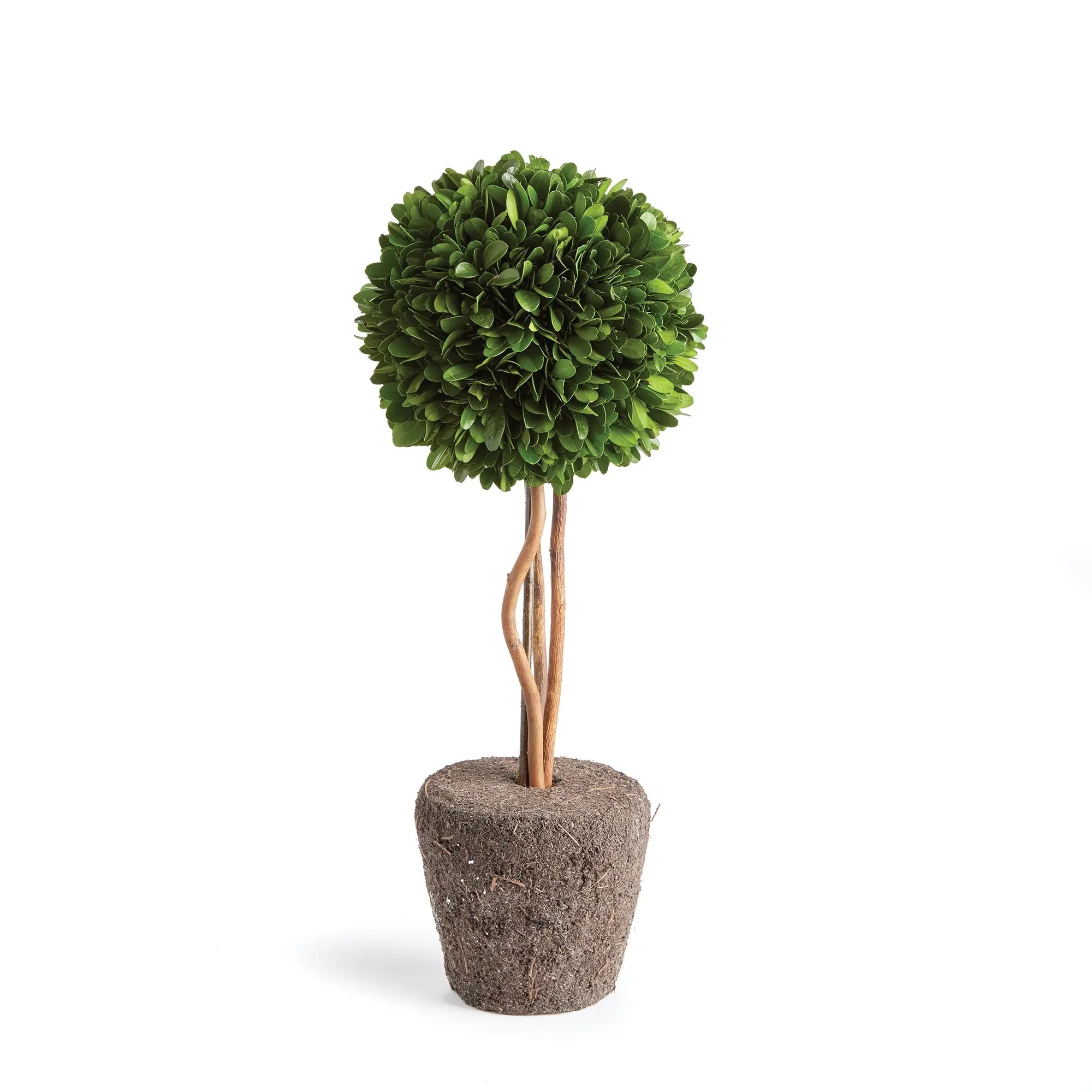 Preserved Boxwood Topiary Drop-In – 16" Single Sphere - Villa Decor & Design