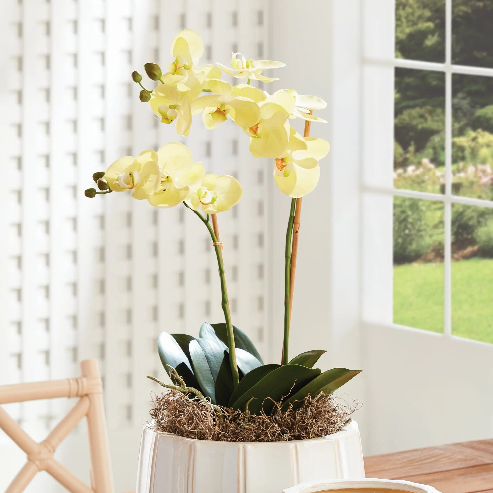 PHALAENOPSIS ORCHID DROP-IN 23" Villa Decor & Design