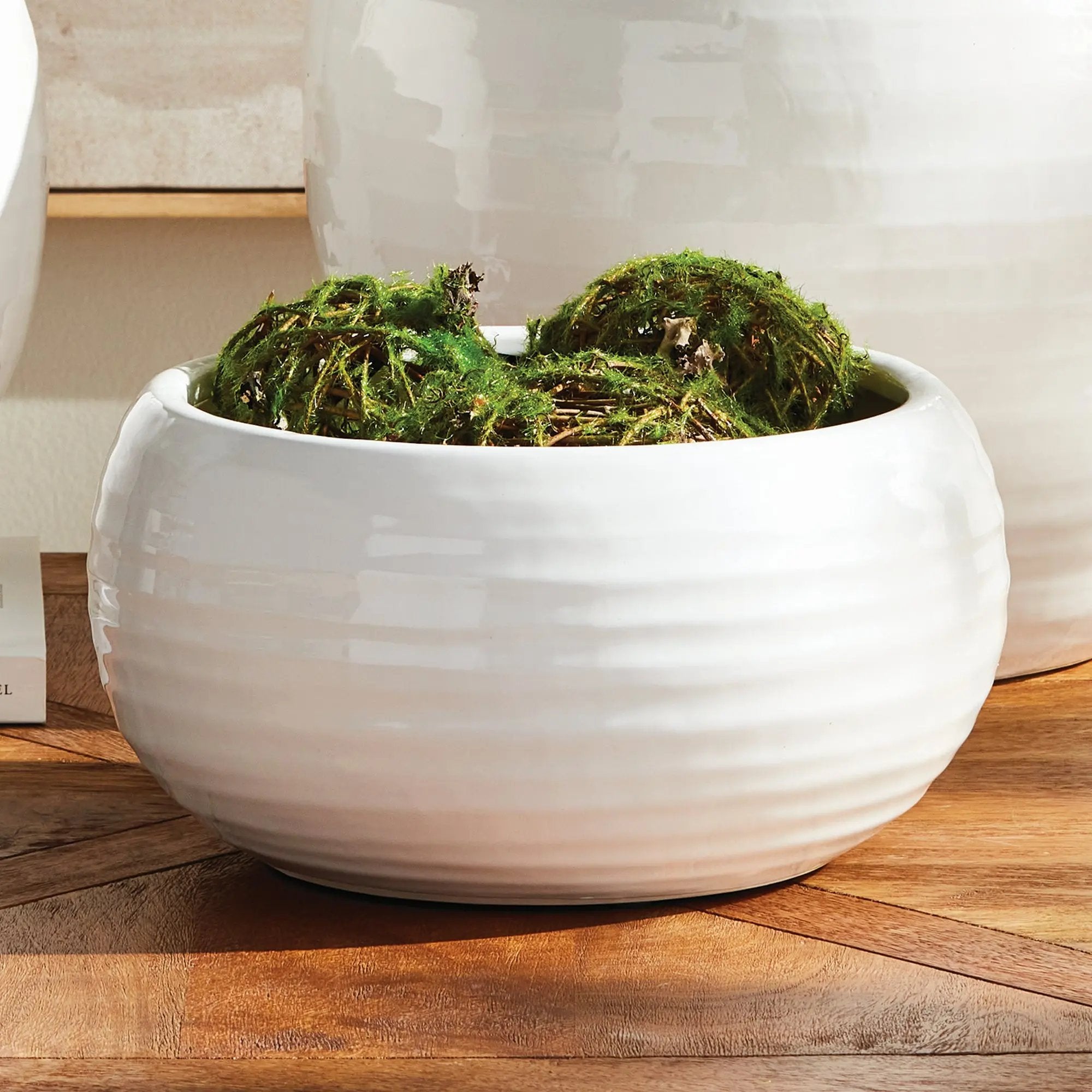 Anderson Decorative Bowl Napa Home & Garden