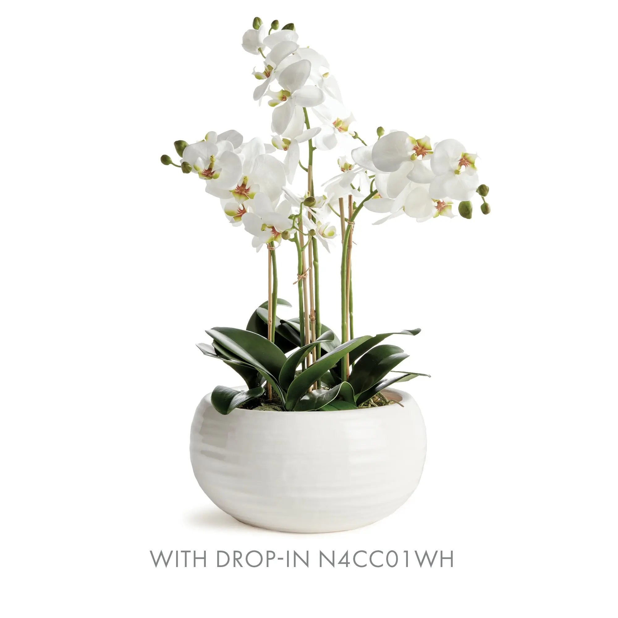 Anderson Decorative Bowl Napa Home & Garden