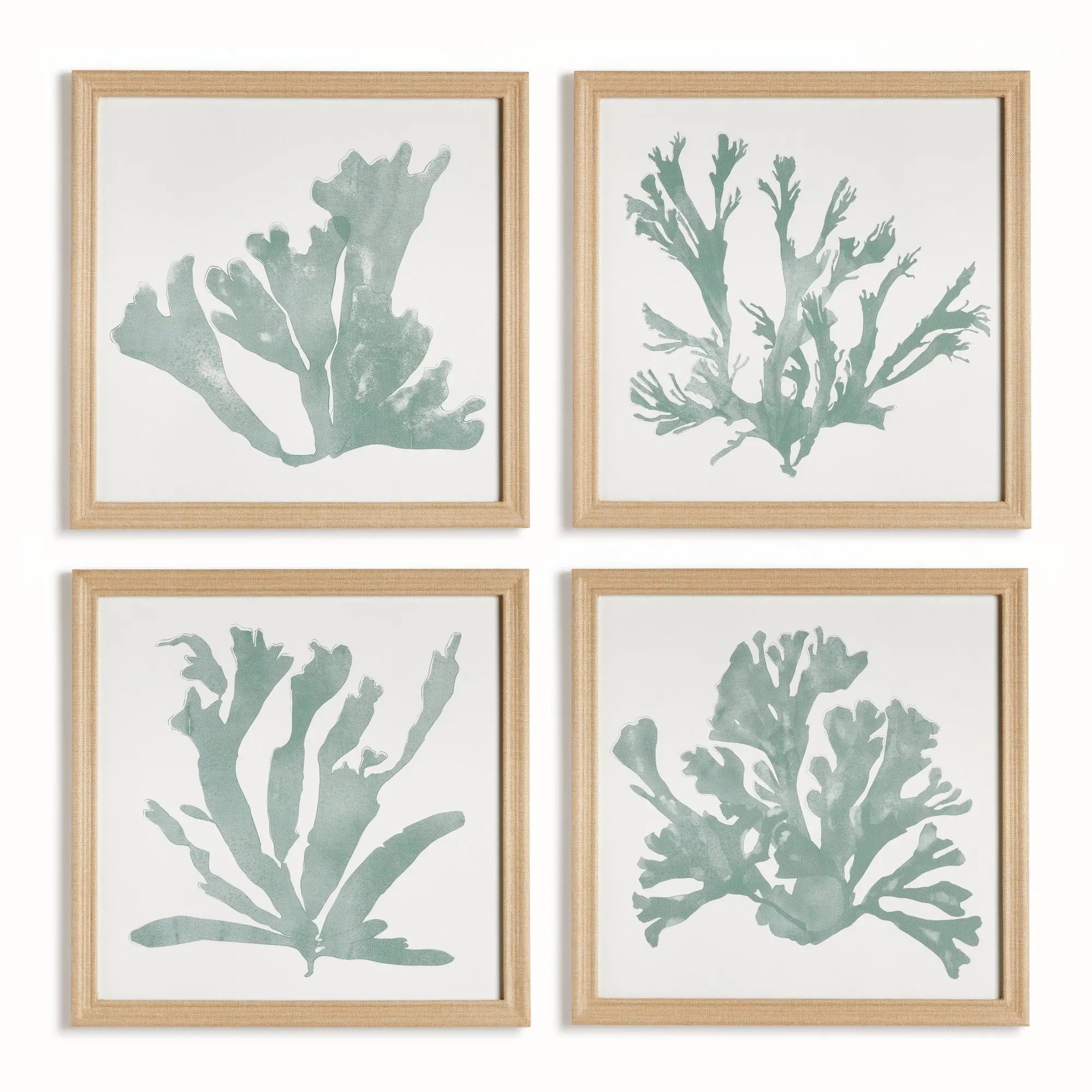 Coral Silhouettes in Soft Green, SET OF 4, coral art, sea foam art