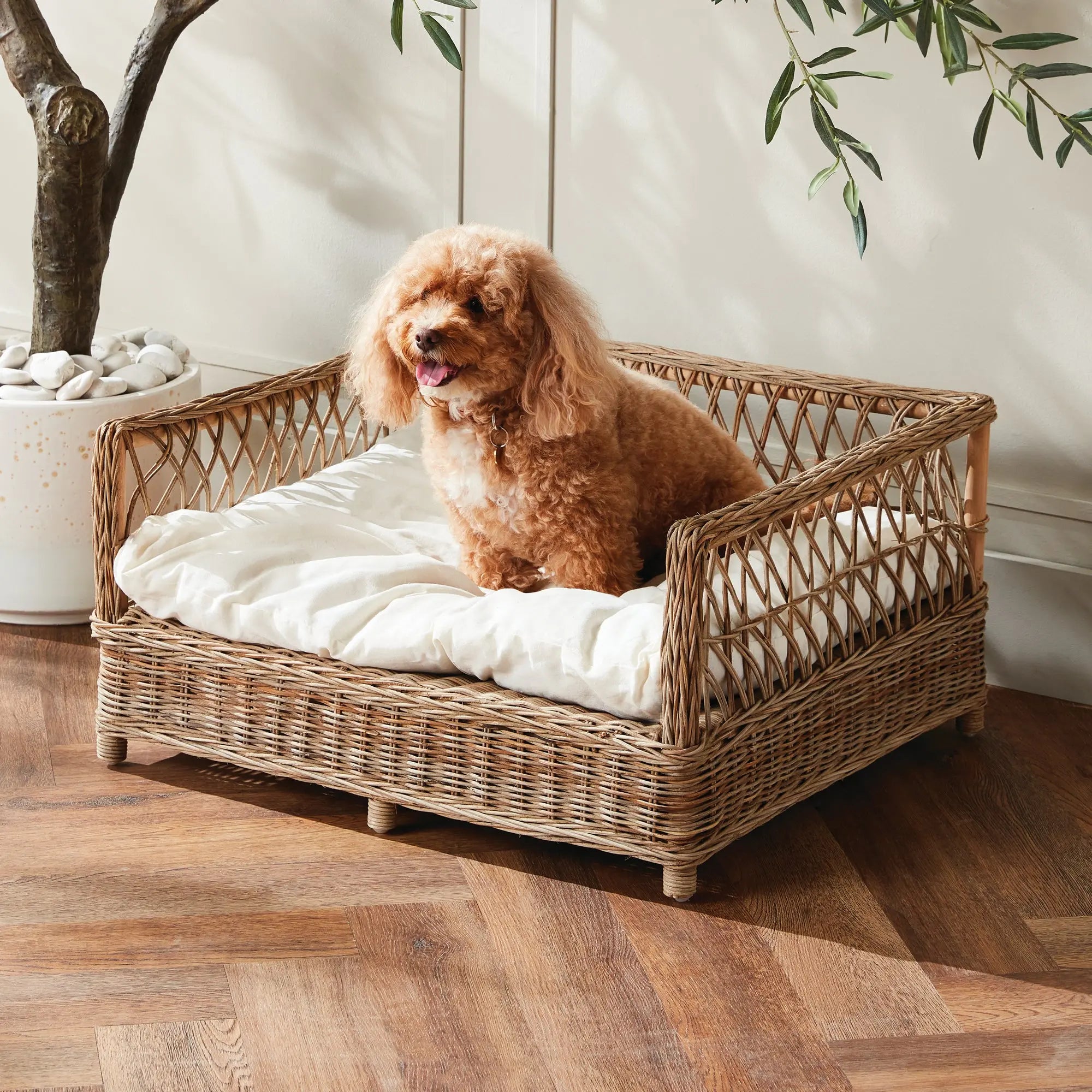 Normandy woven rattan dog bed with gray cushion – Large size