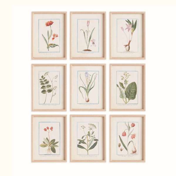 Dainty Flora & Fauna Study - Set of 9 Linen-Wrapped Botanical Prints - Villa Decor & Design
