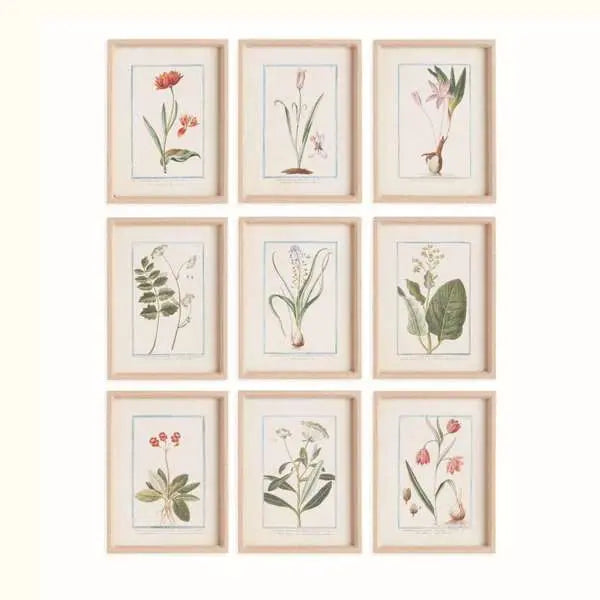 Dainty Flora & Fauna Study - Set of 9 Linen-Wrapped Botanical Prints - Villa Decor & Design
