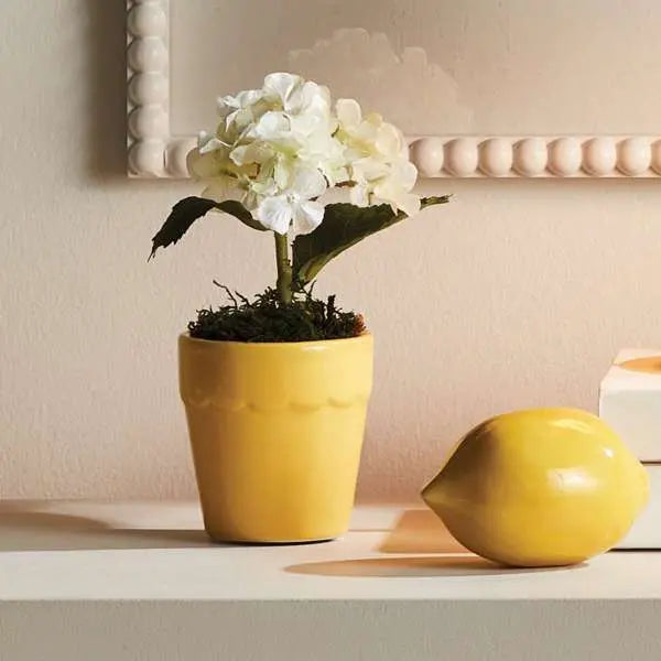 Mirabelle Mini Cachepots - Set of 6 Assorted Clay Vessels (White, Yellow, or Blue) - Villa Decor & Design