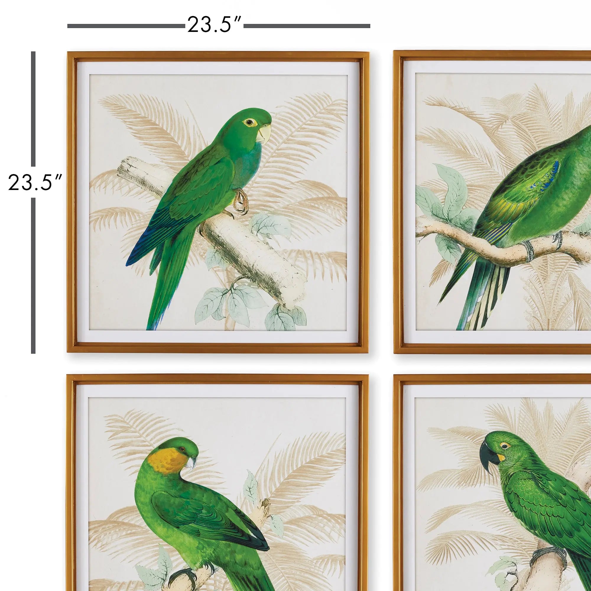 GREEN PARROTS STUDY, SET OF 4 Villa Decor & Design