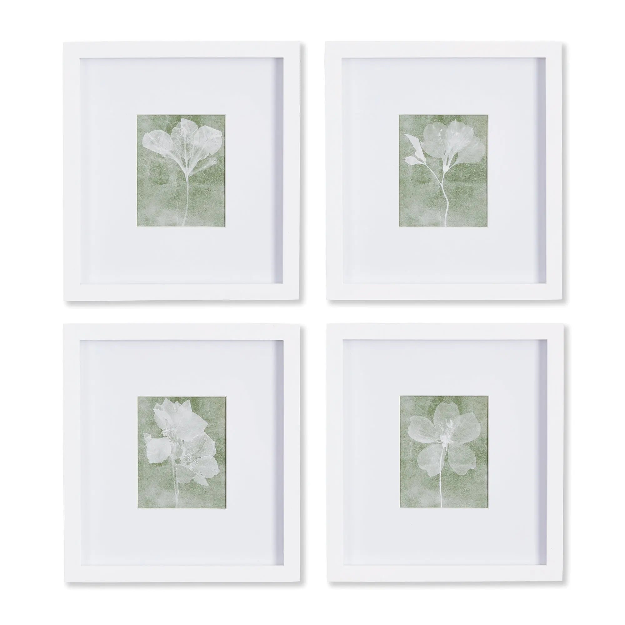 Translucent Floral Petite Prints, SET OF 4