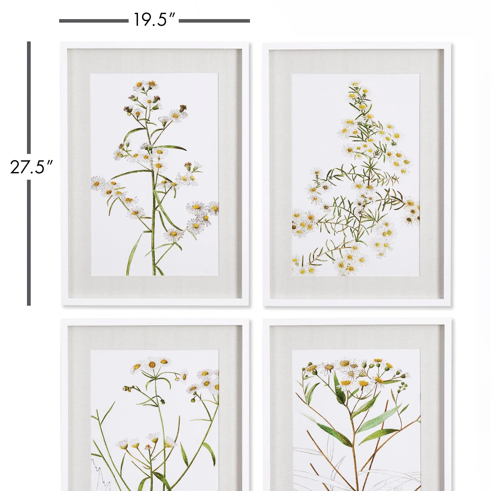 Daisy Prints, SET OF 4