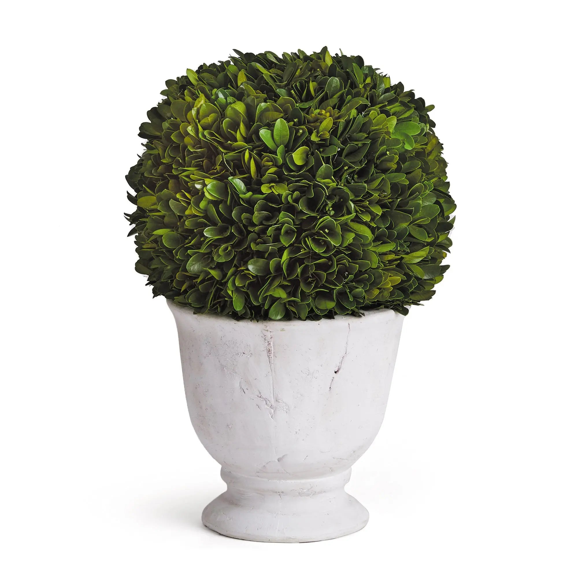Large Boxwood Ball Topiary in White Ceramic Pot - 12" - Villa Decor & Design