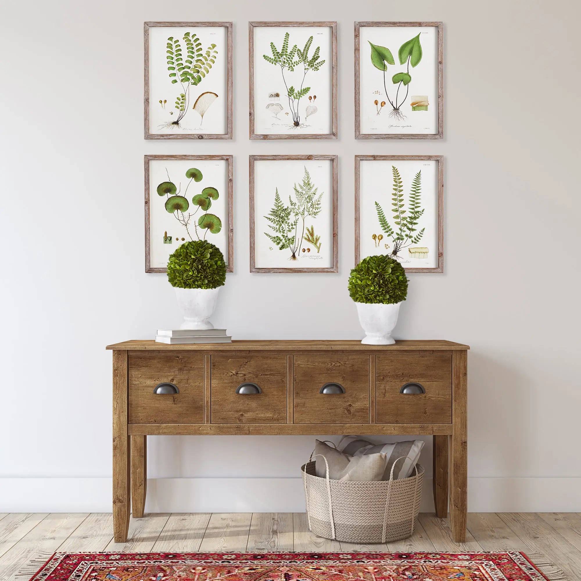 Boxwood Ball Topiary in Pot - SMALL